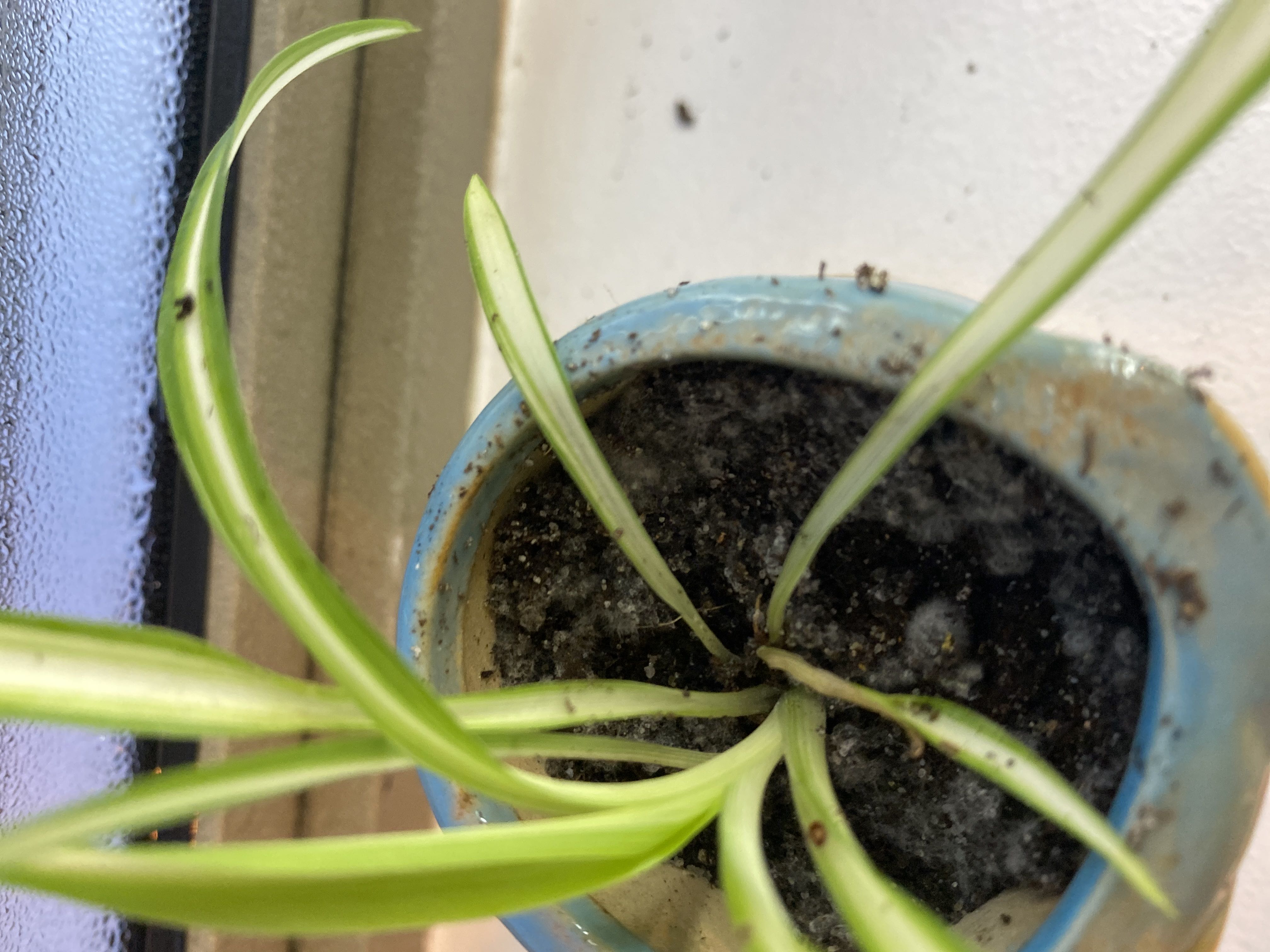 Photo from the post