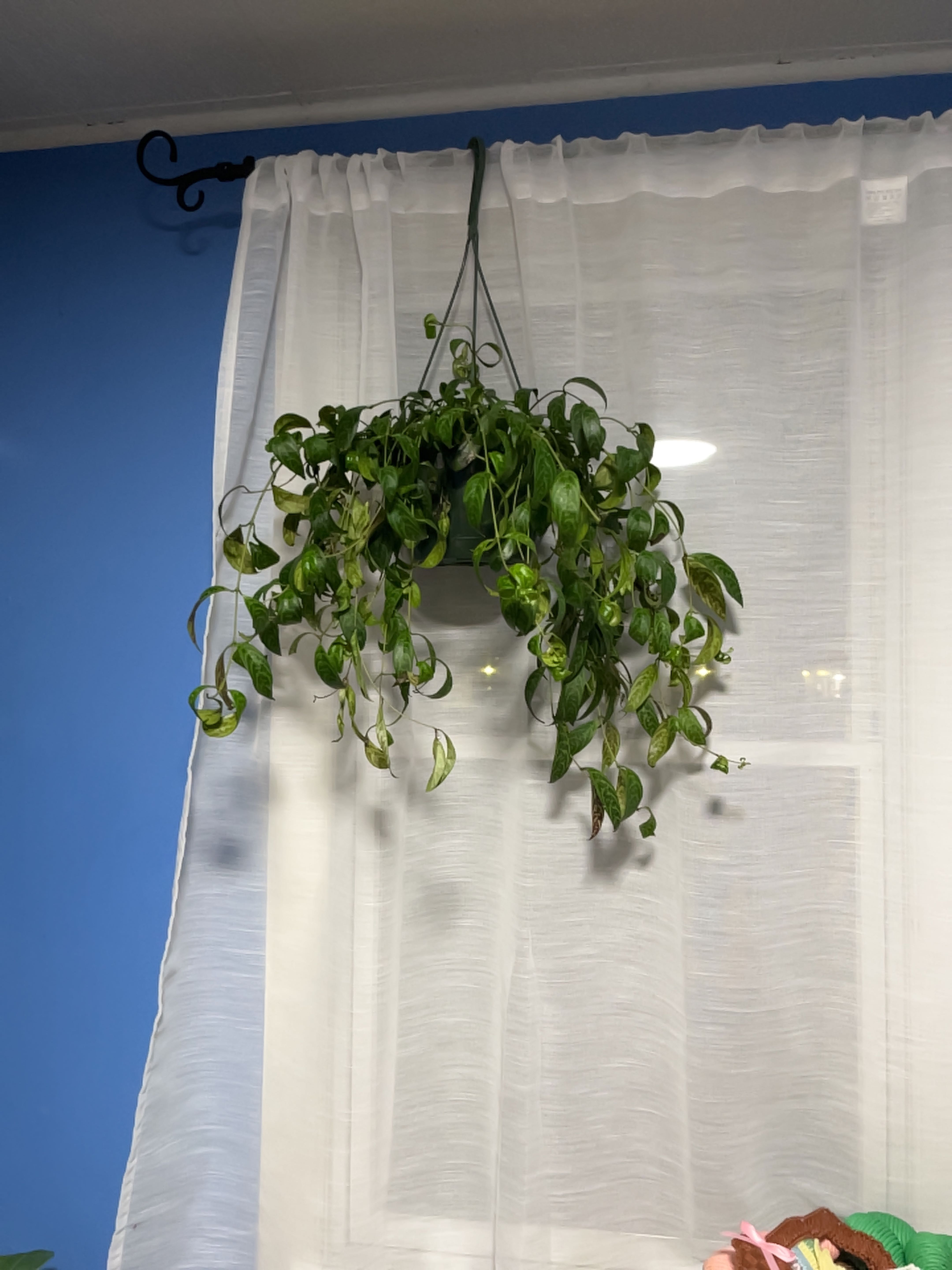 Spare Bedroom