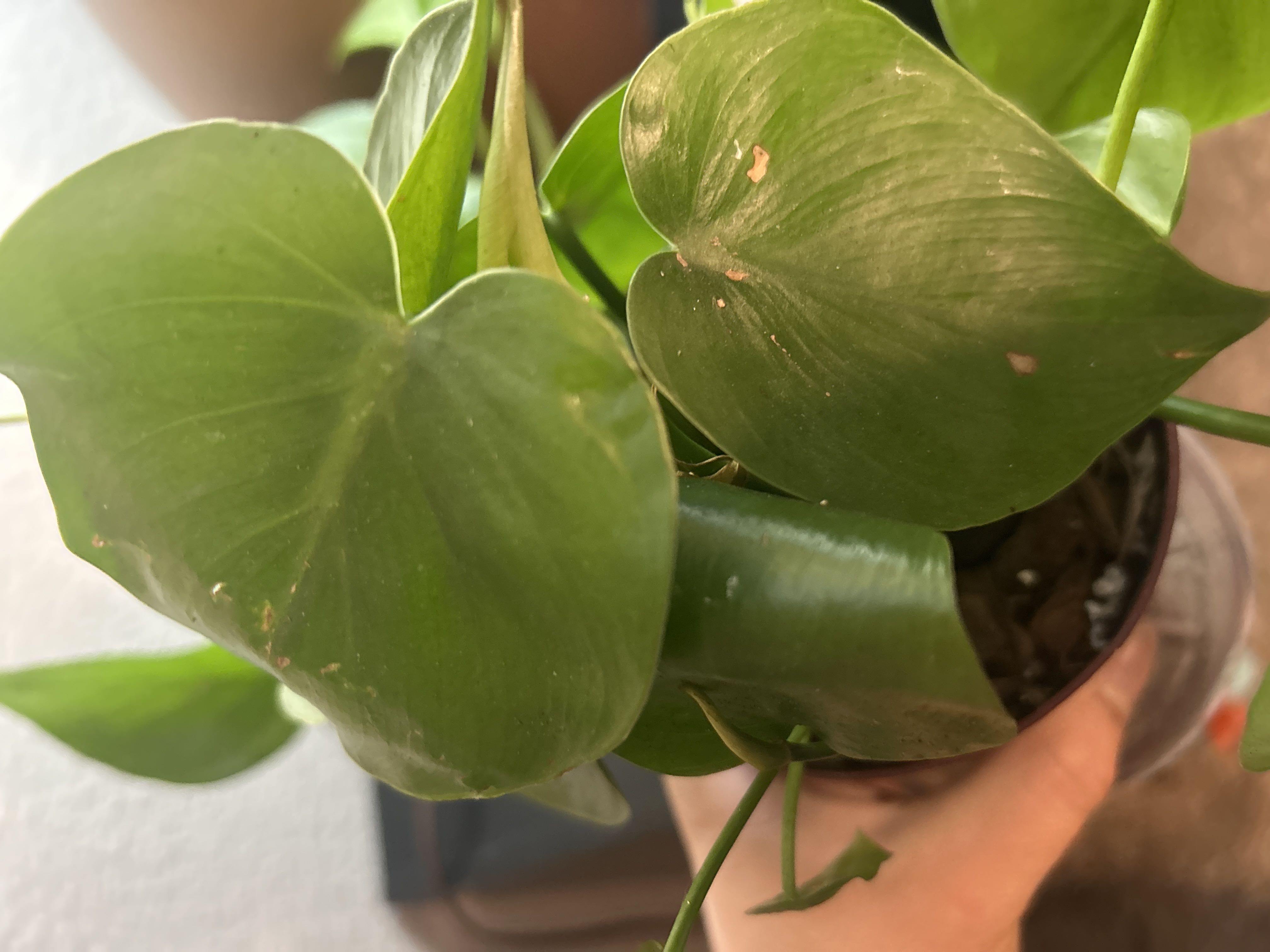 Photo from the post