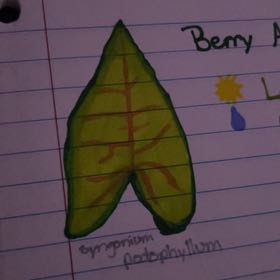 Photo of the plant species Arrowhead Plant by @DeliciousBibi named Barry on Greg, the plant care app