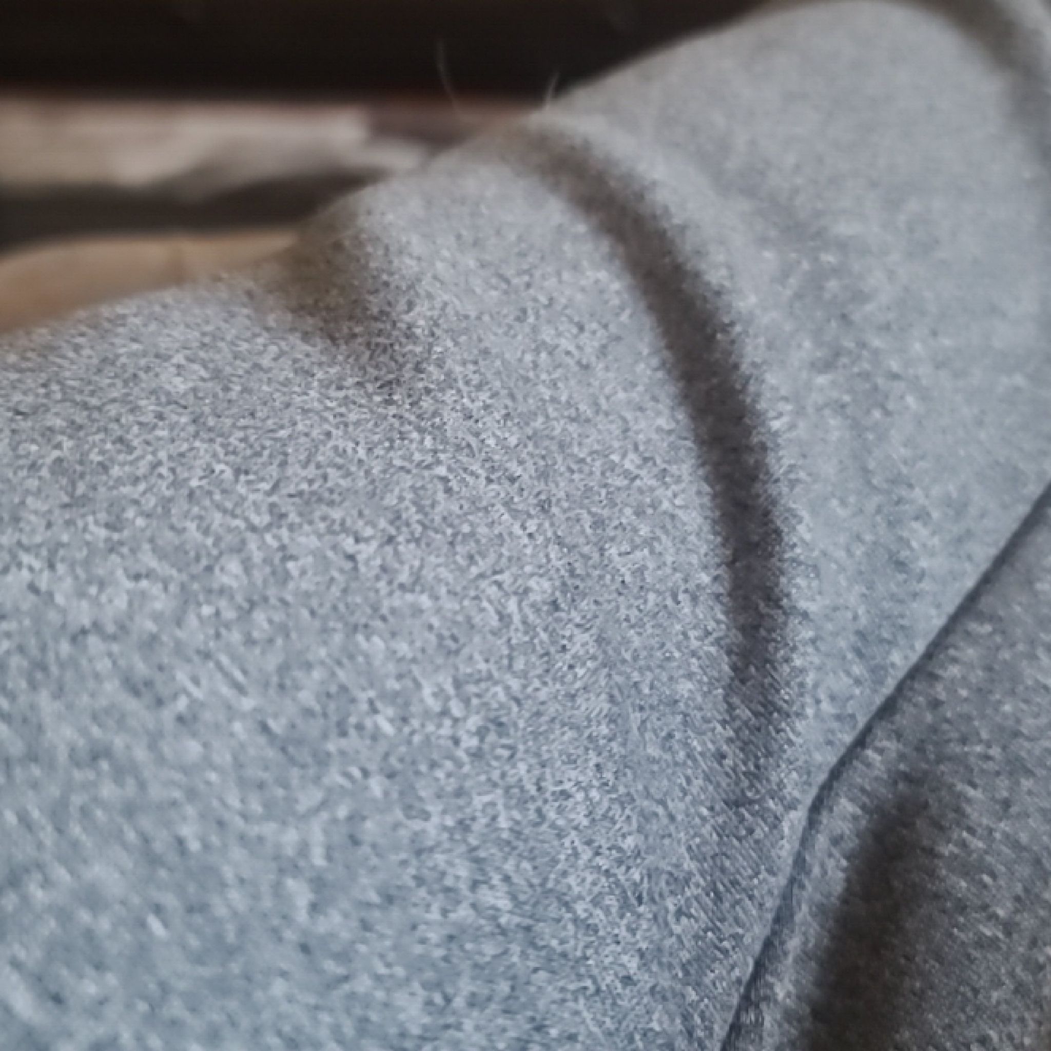 Photo of the plant species Tiger Bark Ficus by @RichPuriri52 named Tigerlily on Greg, the plant care app