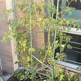 Captain Plant-it
