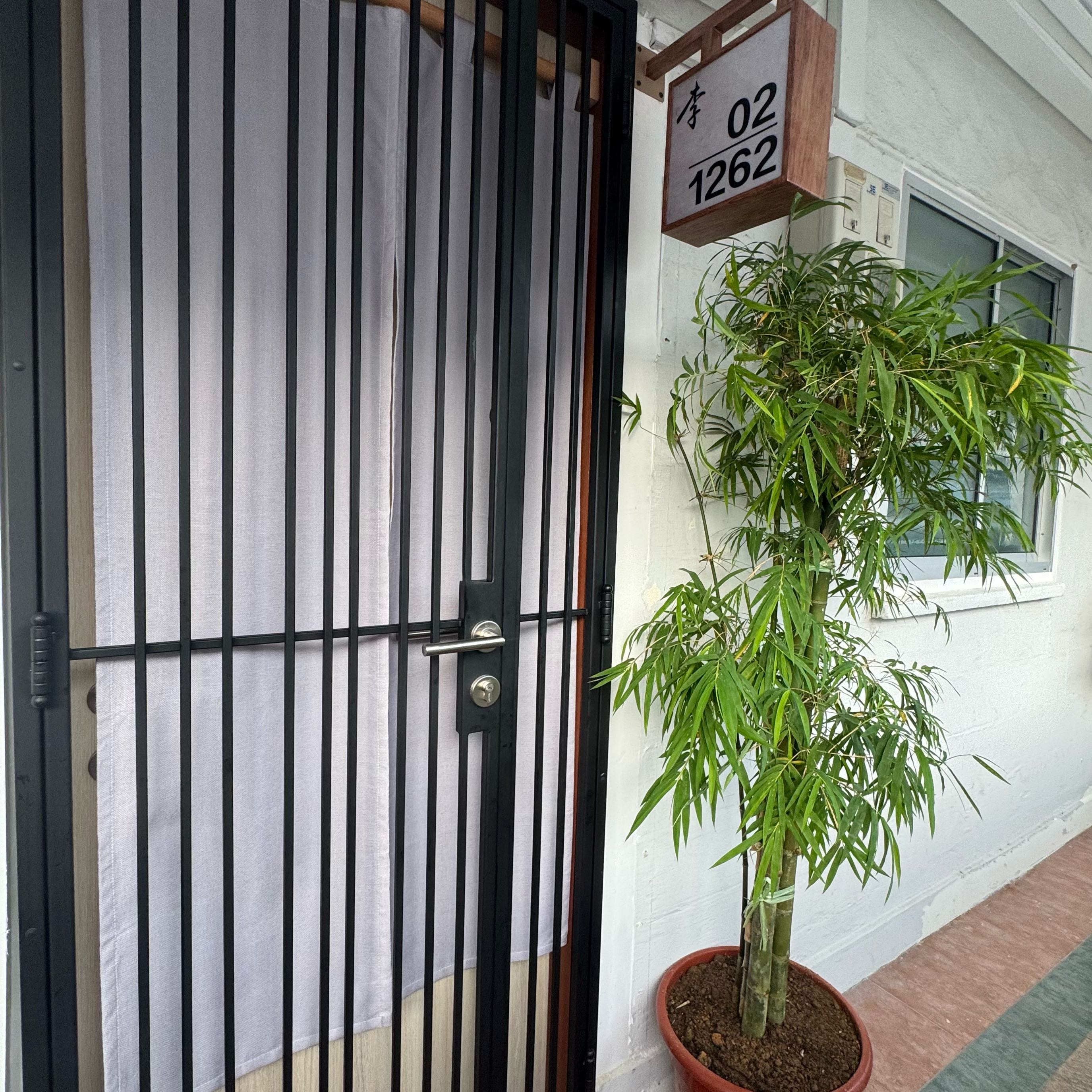 Photo of the plant species Stone Bamboo by @DinkumRadish94 named Drake on Greg, the plant care app