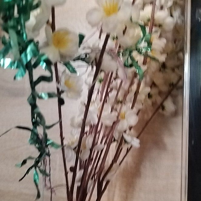 Photo of the plant species Spotted Wintergreen by @GoldBroccoli named Rainier on Greg, the plant care app