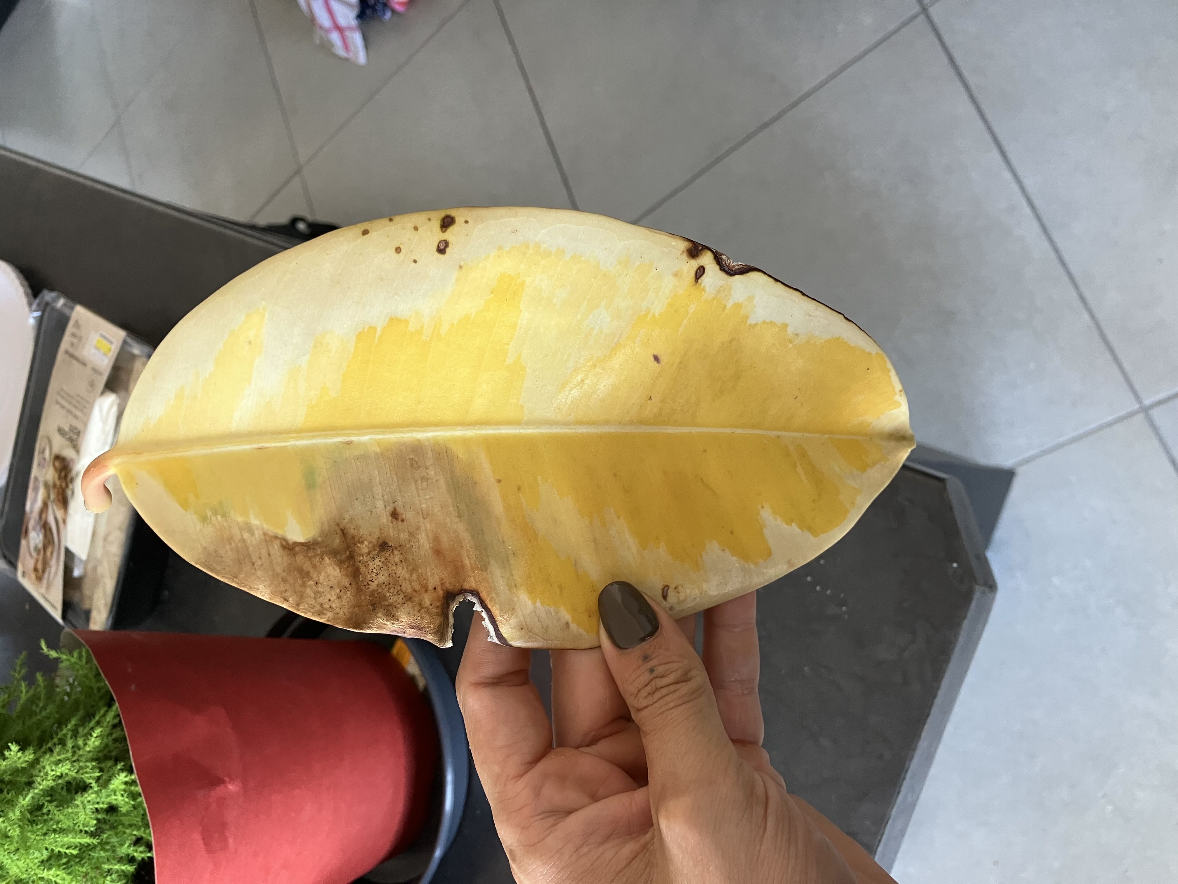Photo from the post