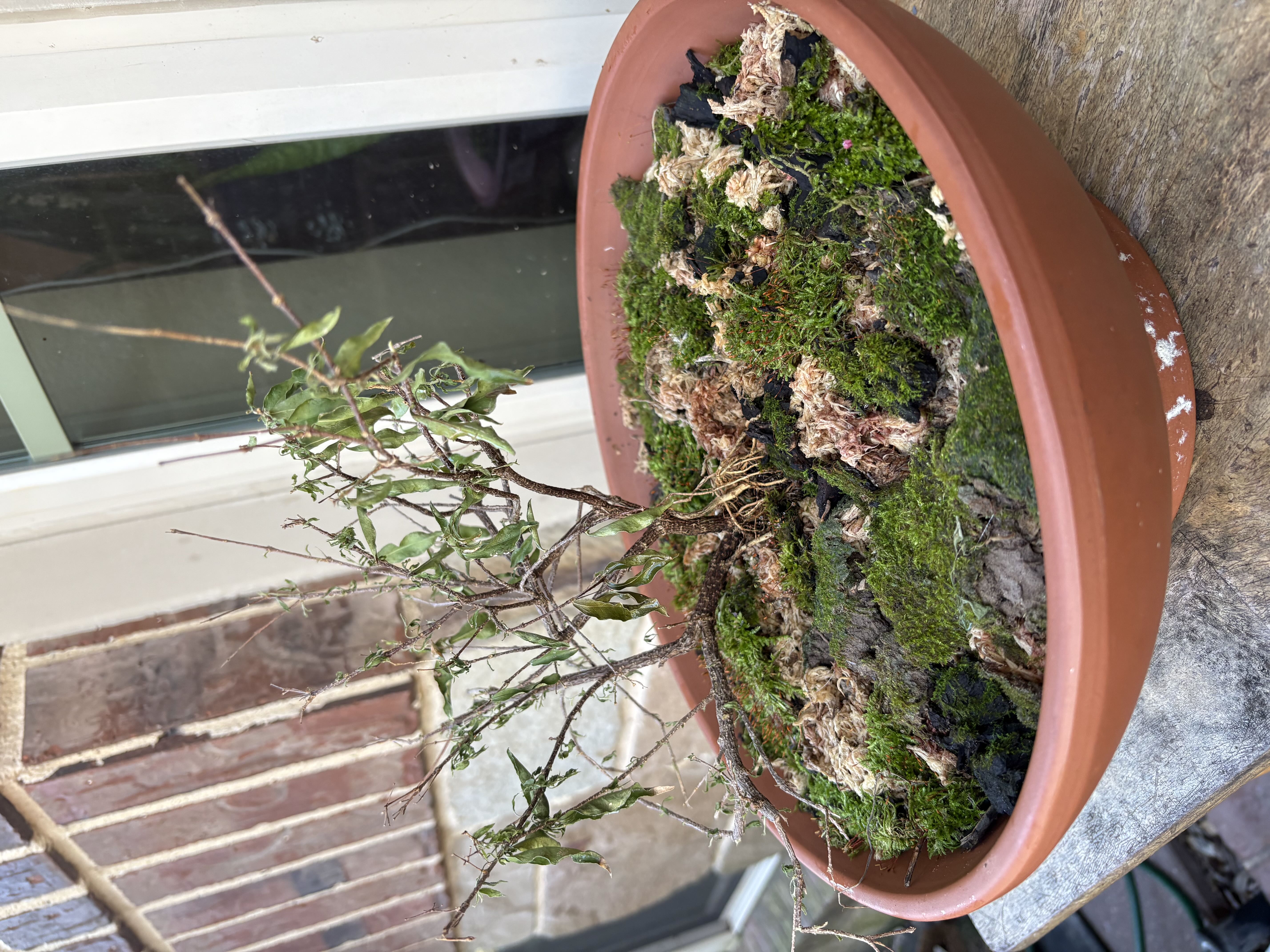Photo from the post