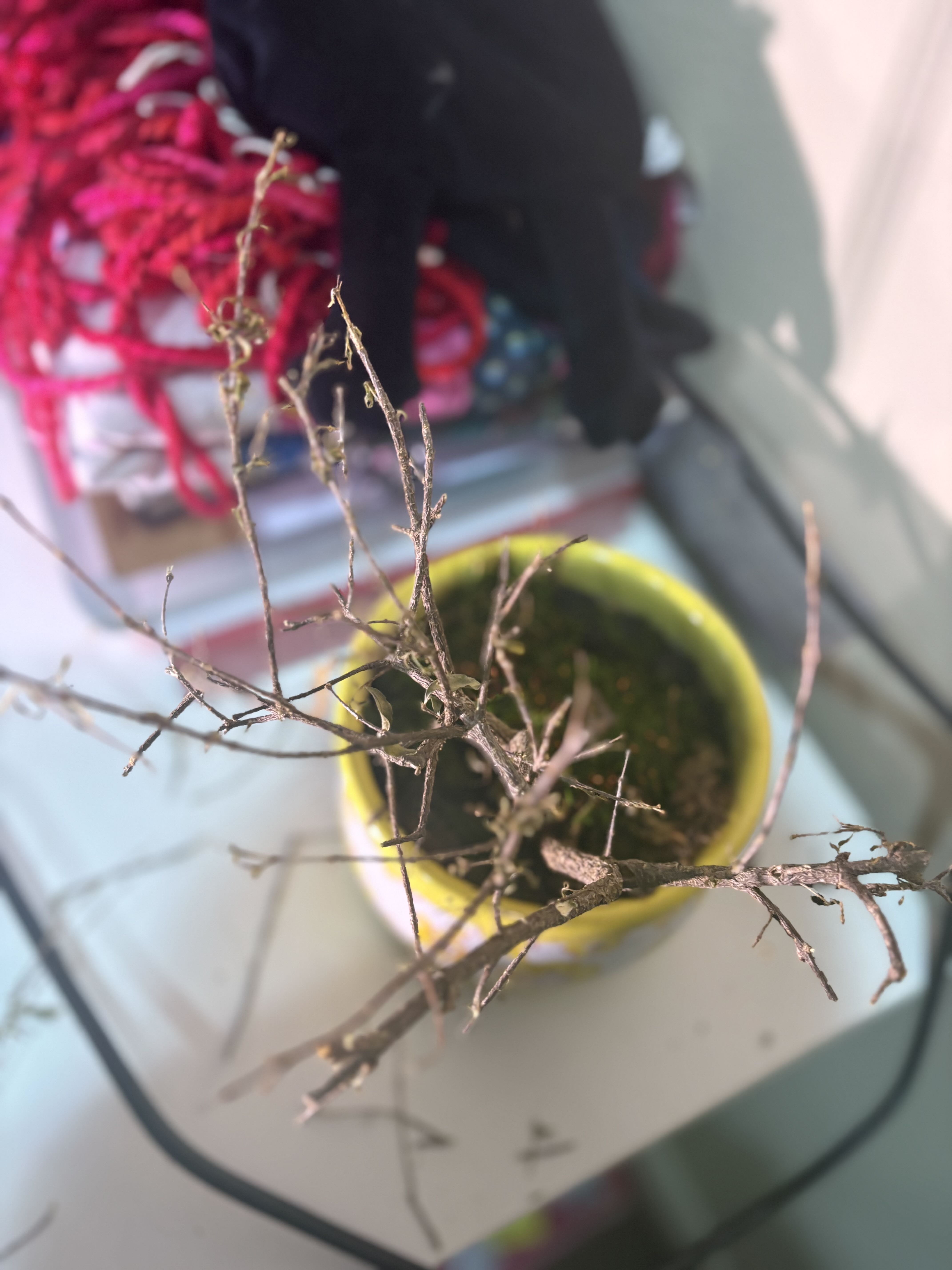 Photo from the post