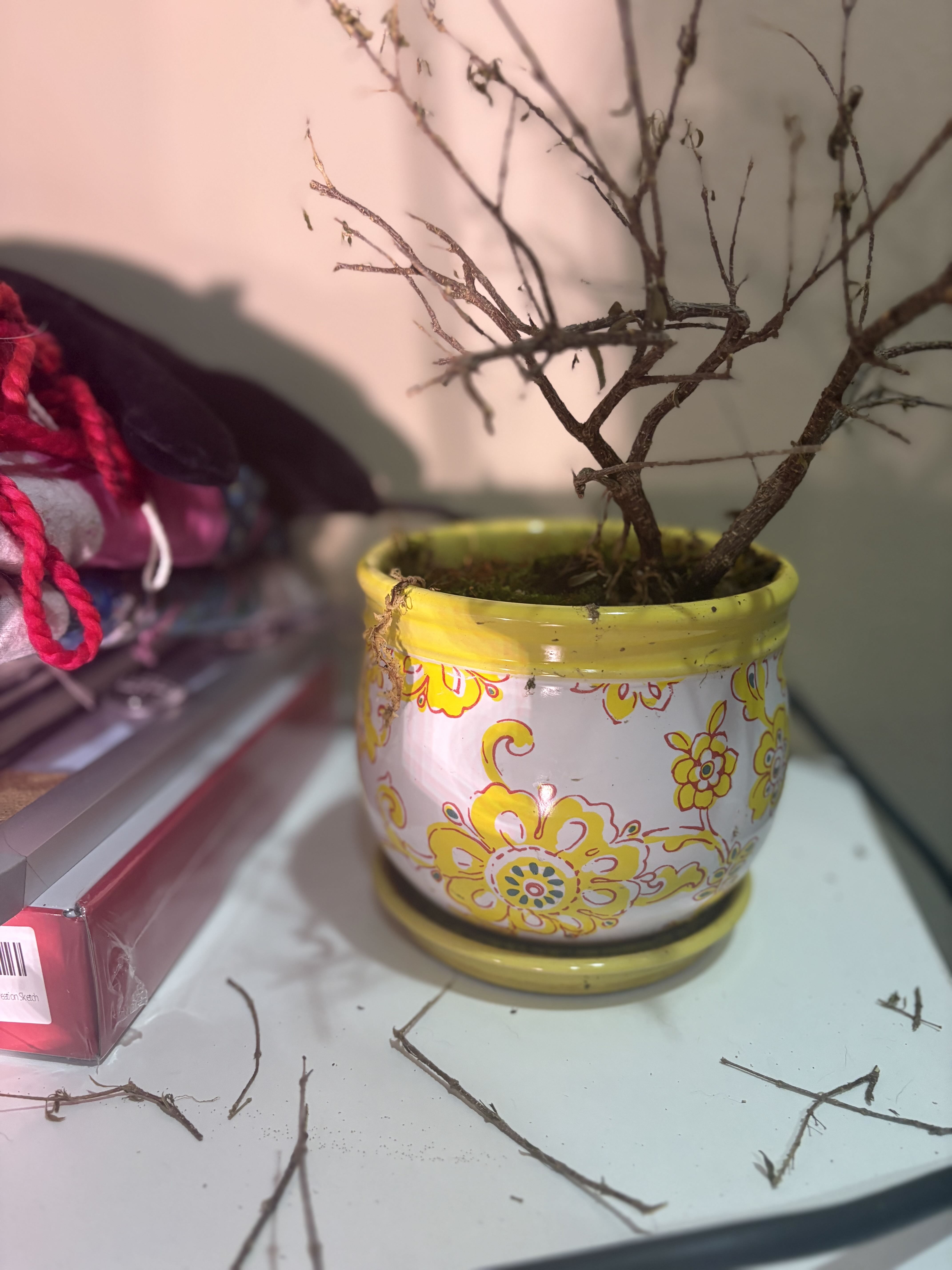 Photo from the post