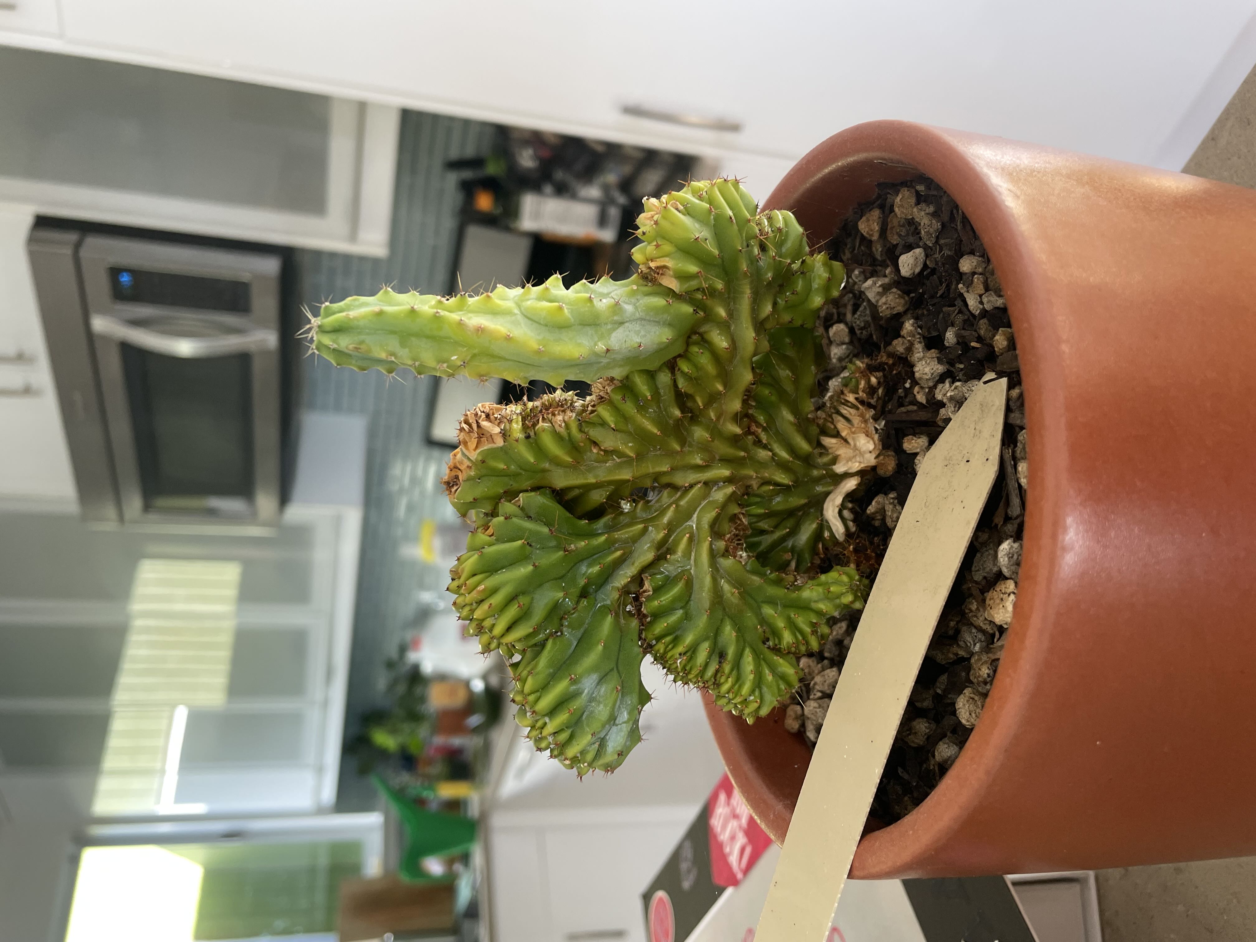 Photo from the post