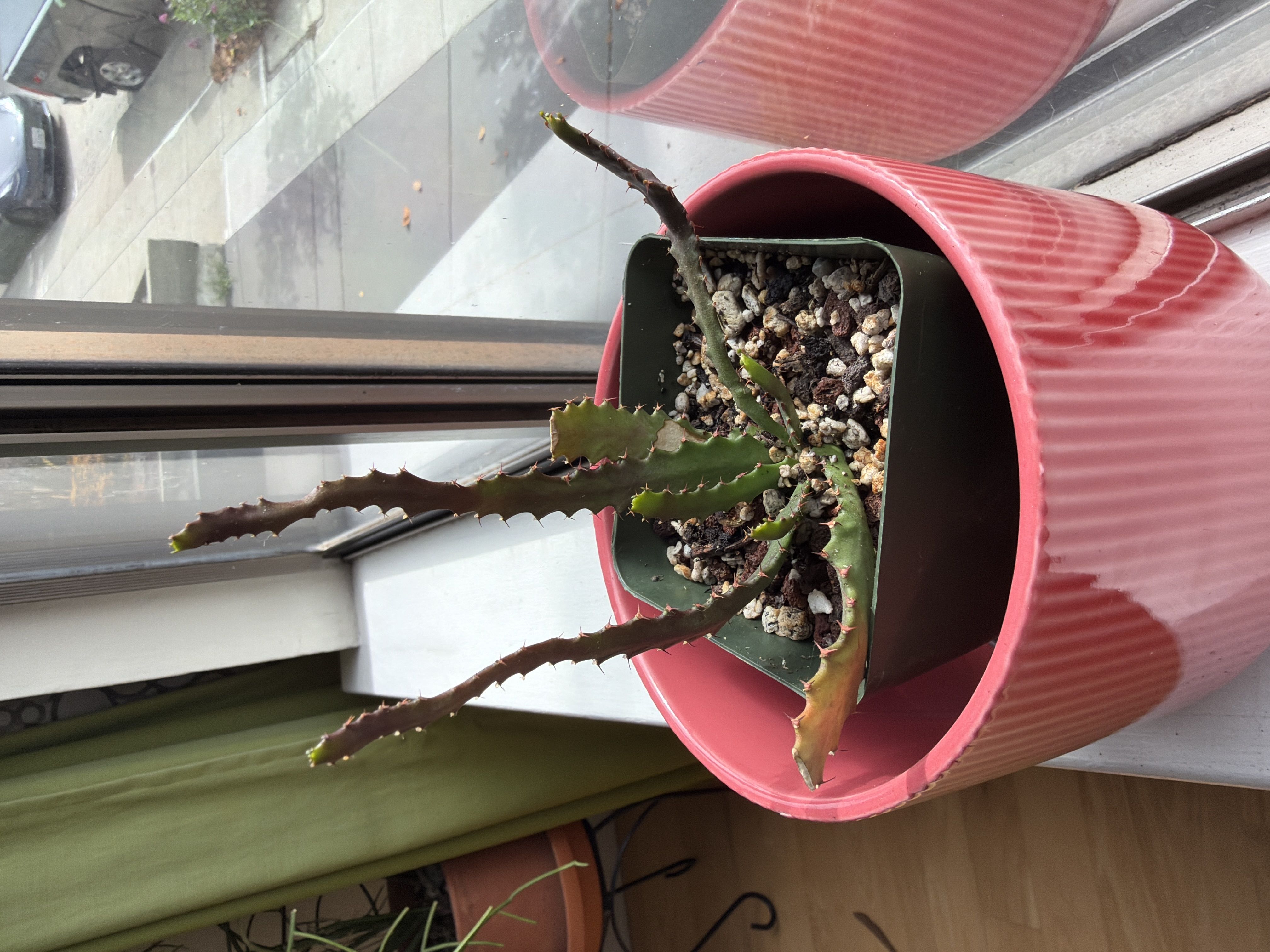 Photo from the post