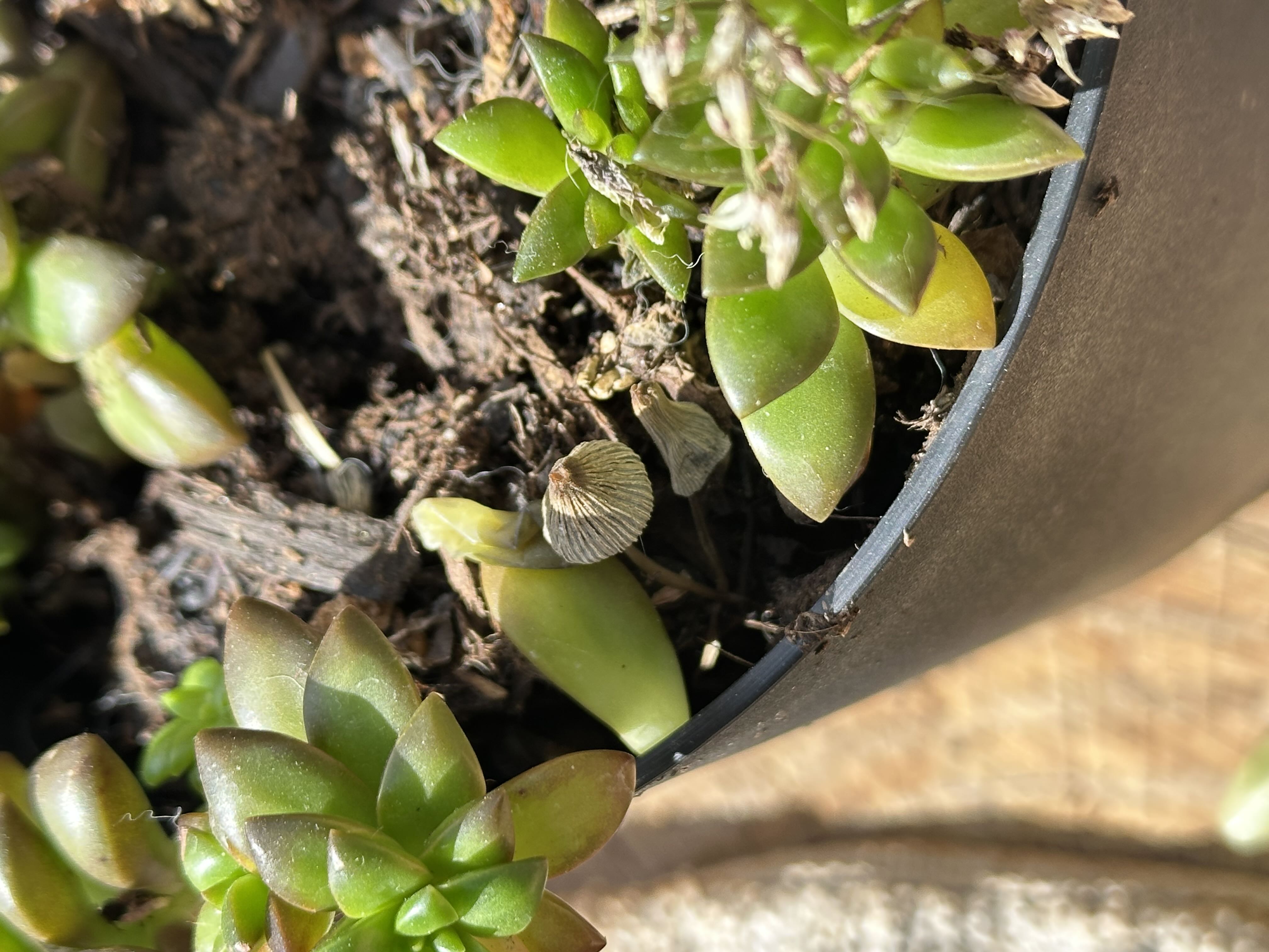 Photo from the post