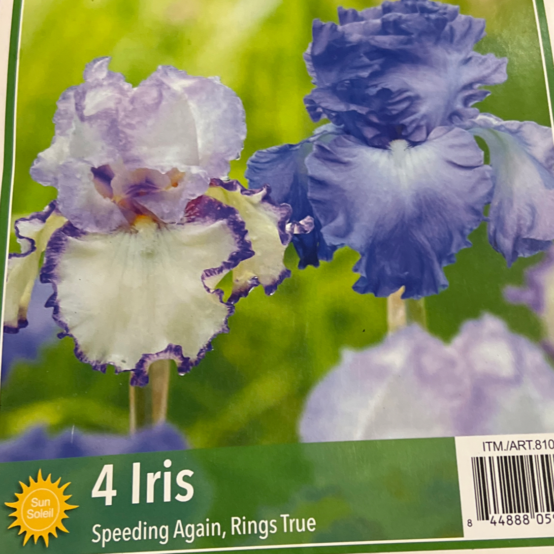 Photo of the plant species German Iris by @LpcRookie named Baesil on Greg, the plant care app