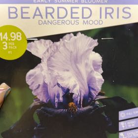 Photo of the plant species Iris 'Dangerous Mood' by @LpcRookie named Leonardo on Greg, the plant care app