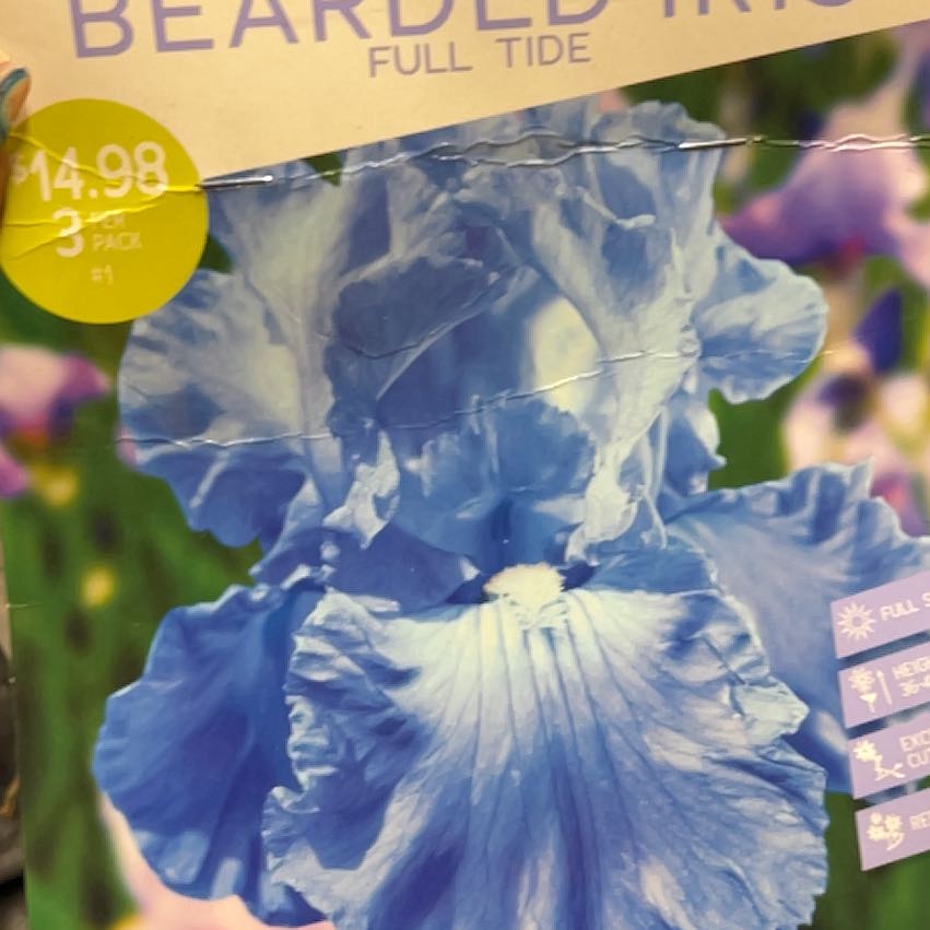 Iris 'Full Tide' Plant Care: Water, Light, Nutrients | Greg App 🌱