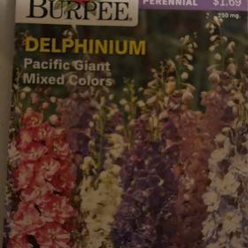 Photo of the plant species Pacific Giant Mix Delphinium by @LpcRookie named Sage on Greg, the plant care app
