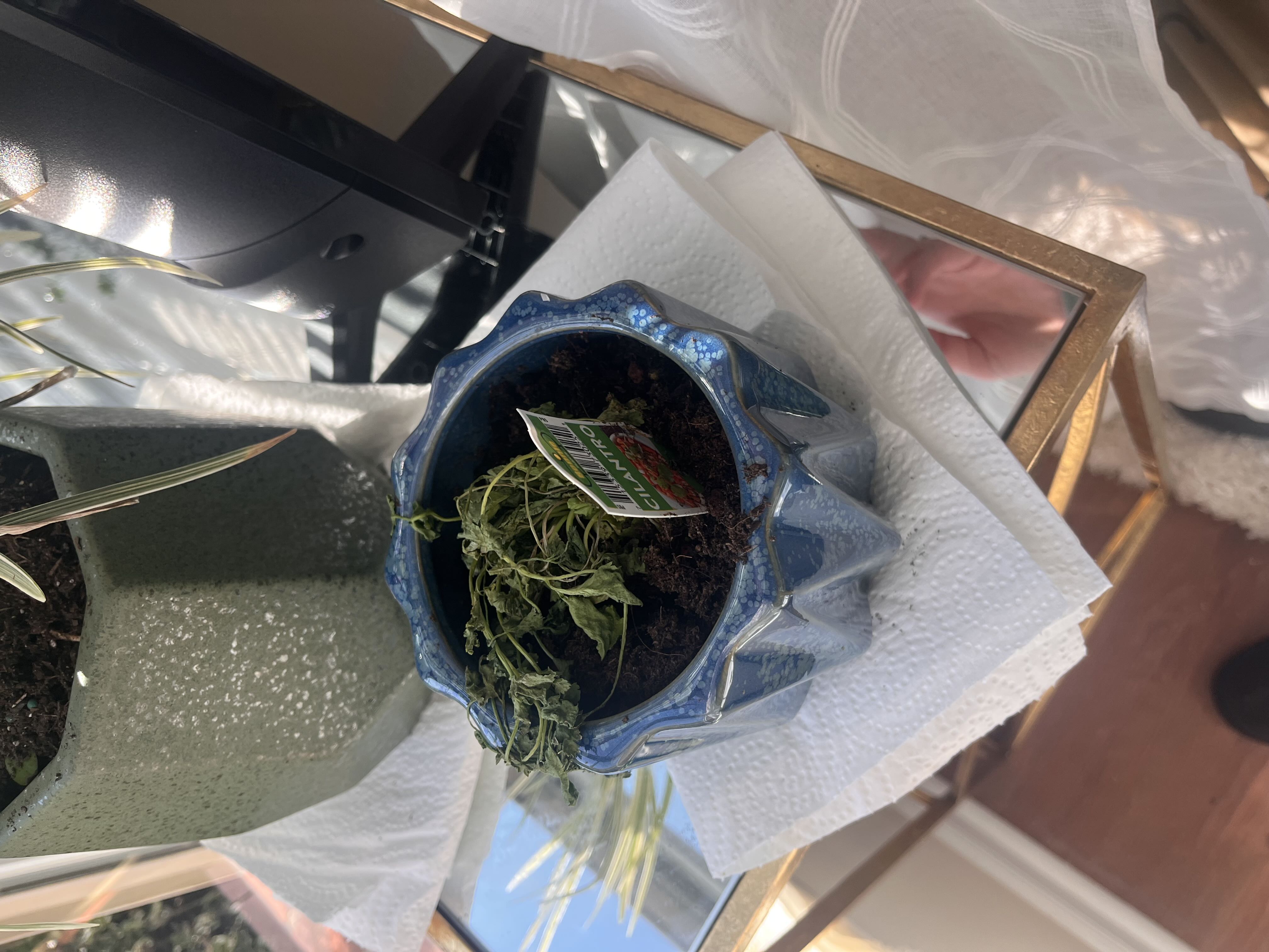 Photo from the post