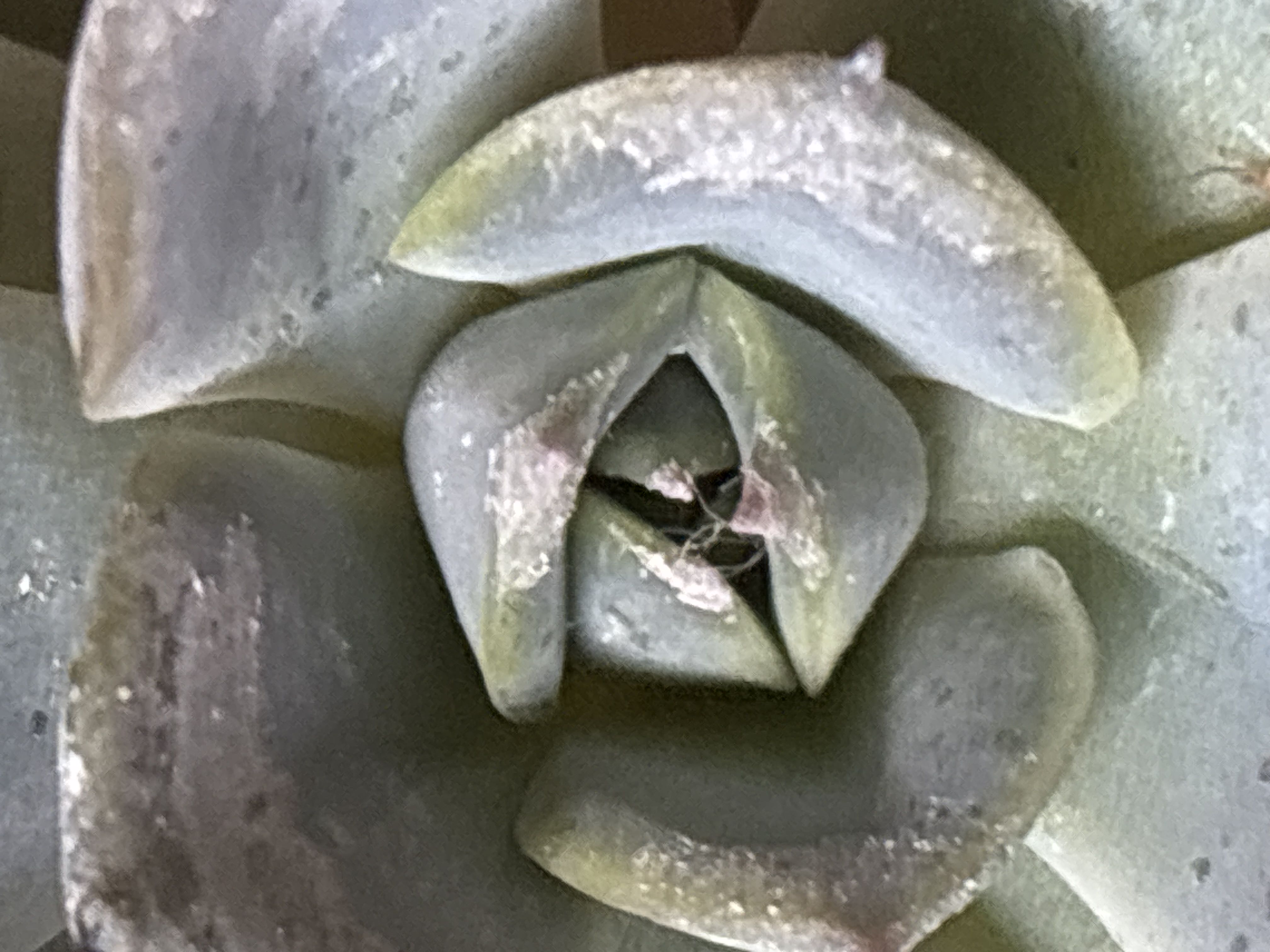 Photo from the post