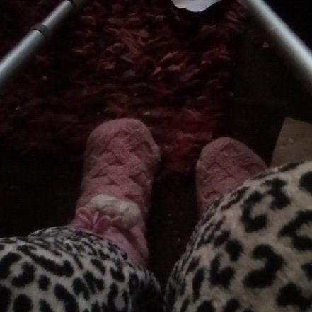 Photo of the plant species Calico Flower by @UberBlueoilfern named Planty on Greg, the plant care app