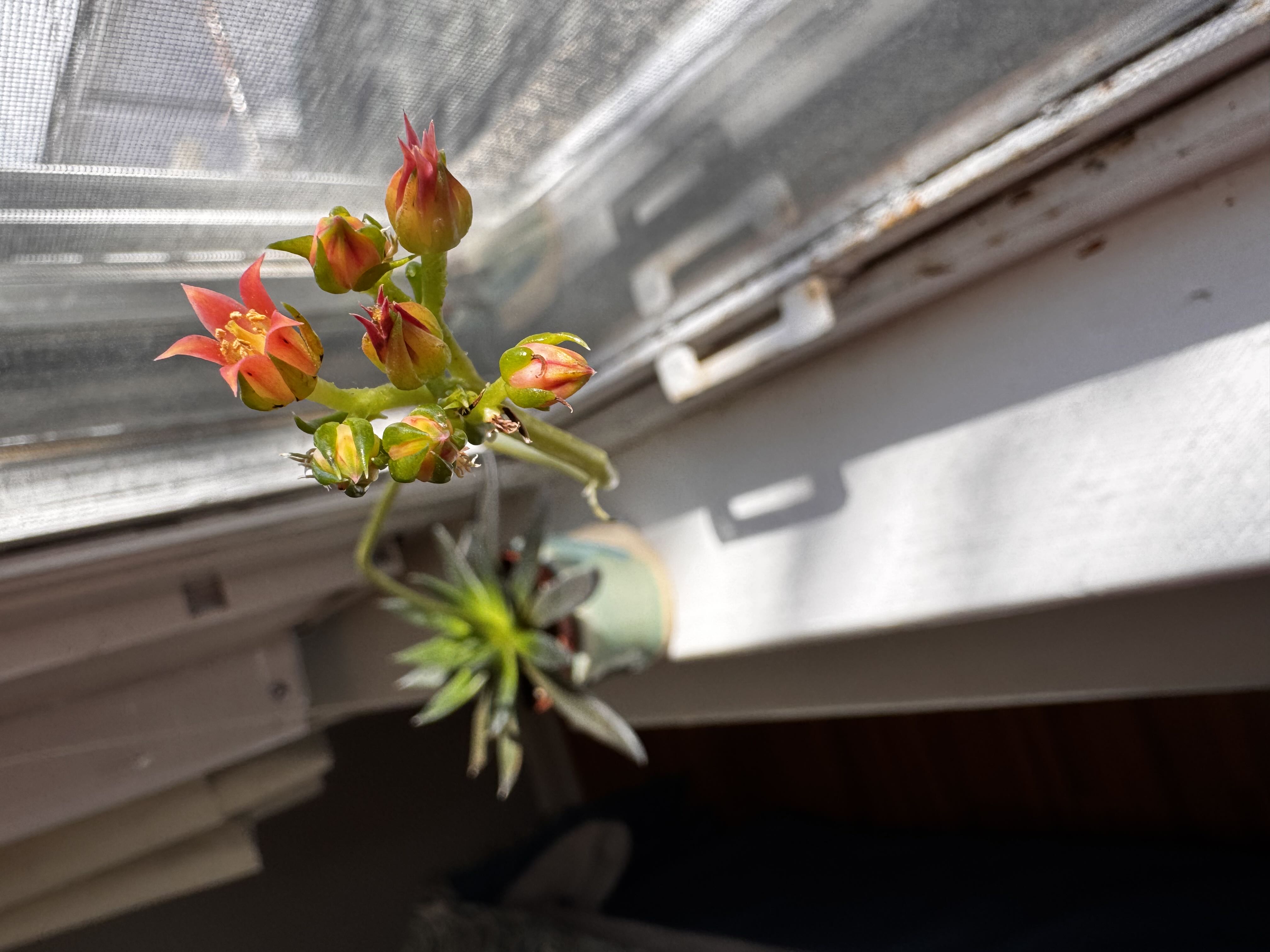 Photo from the post