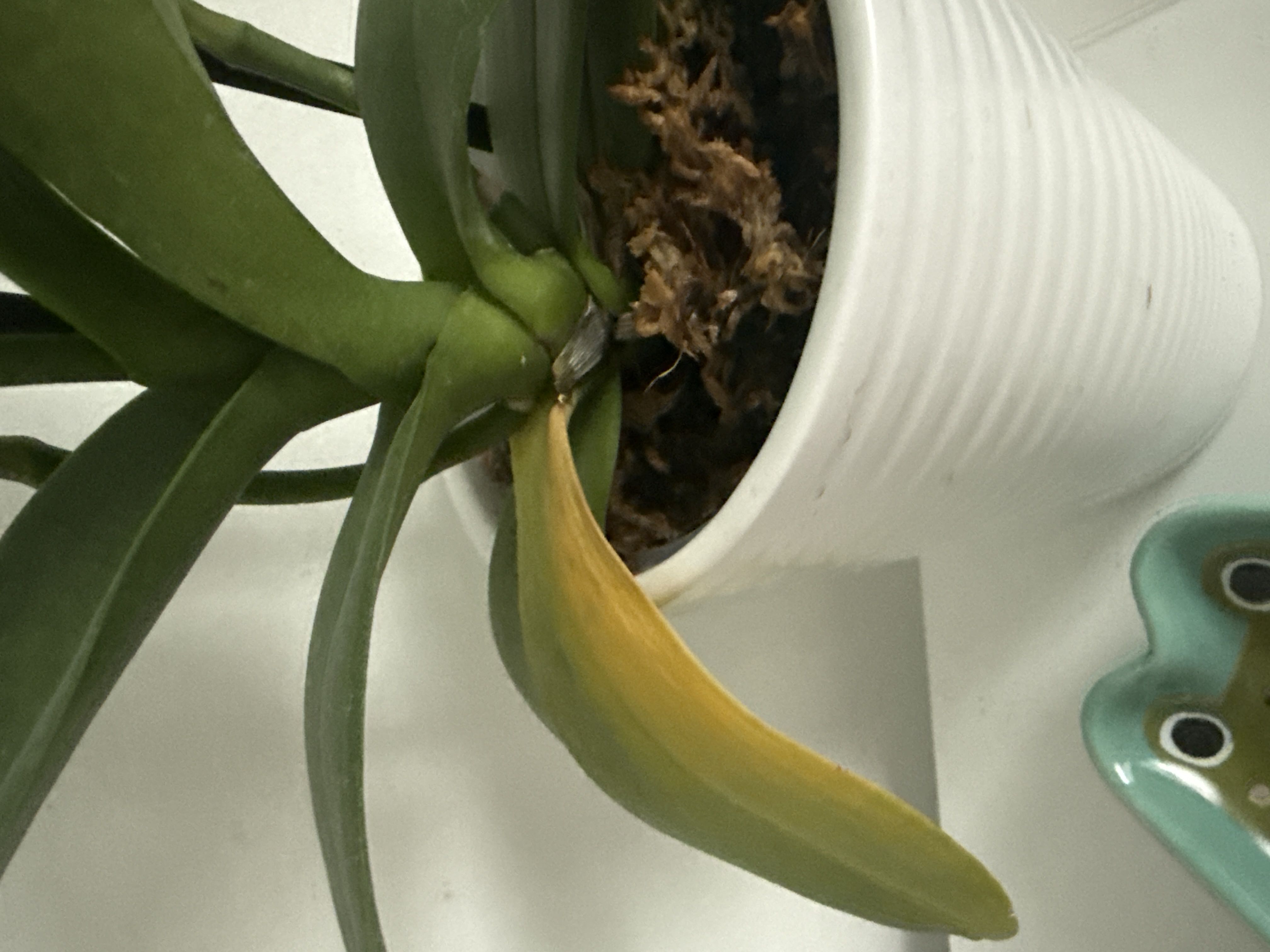 Photo from the post