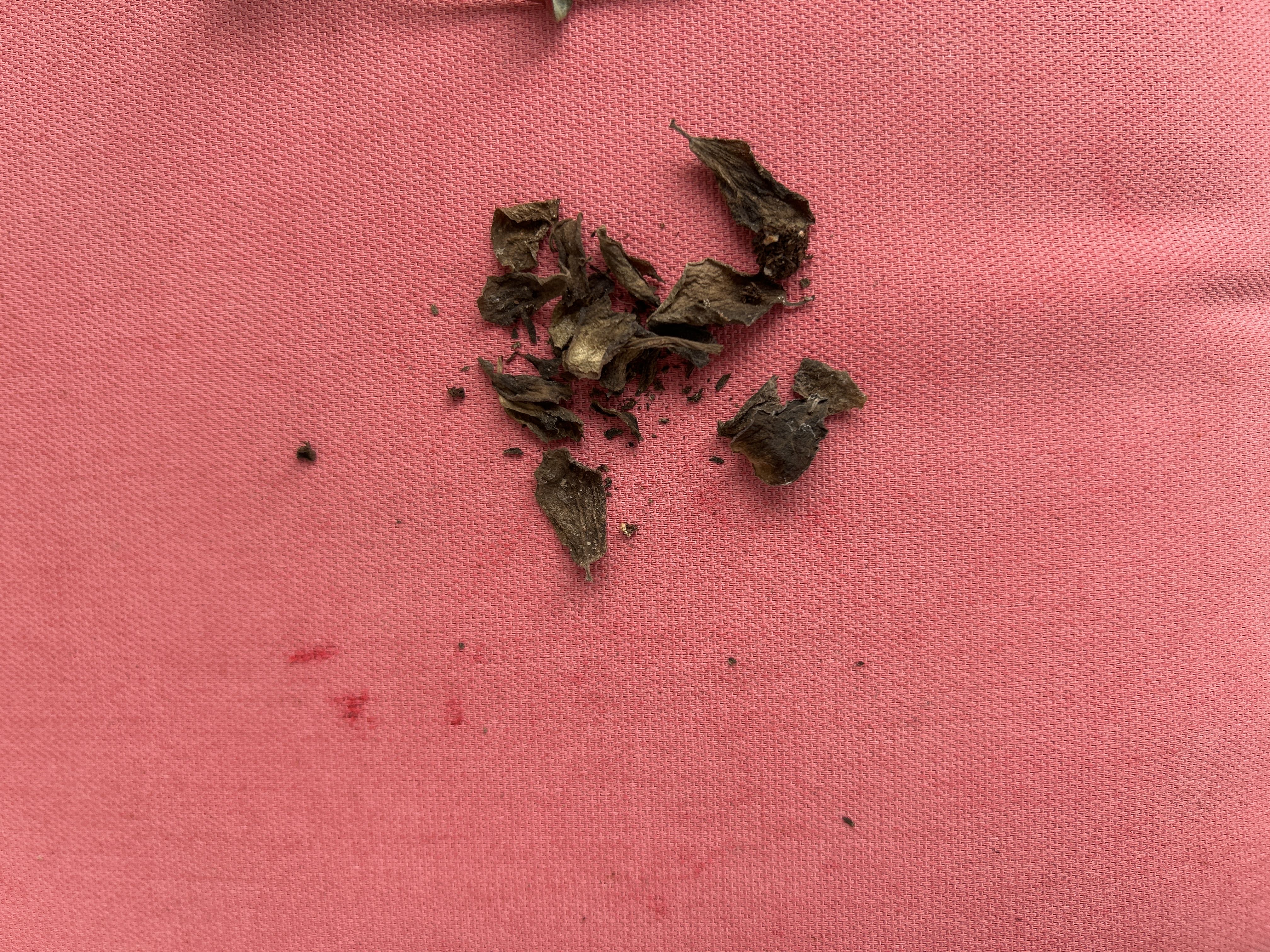 Photo from the post