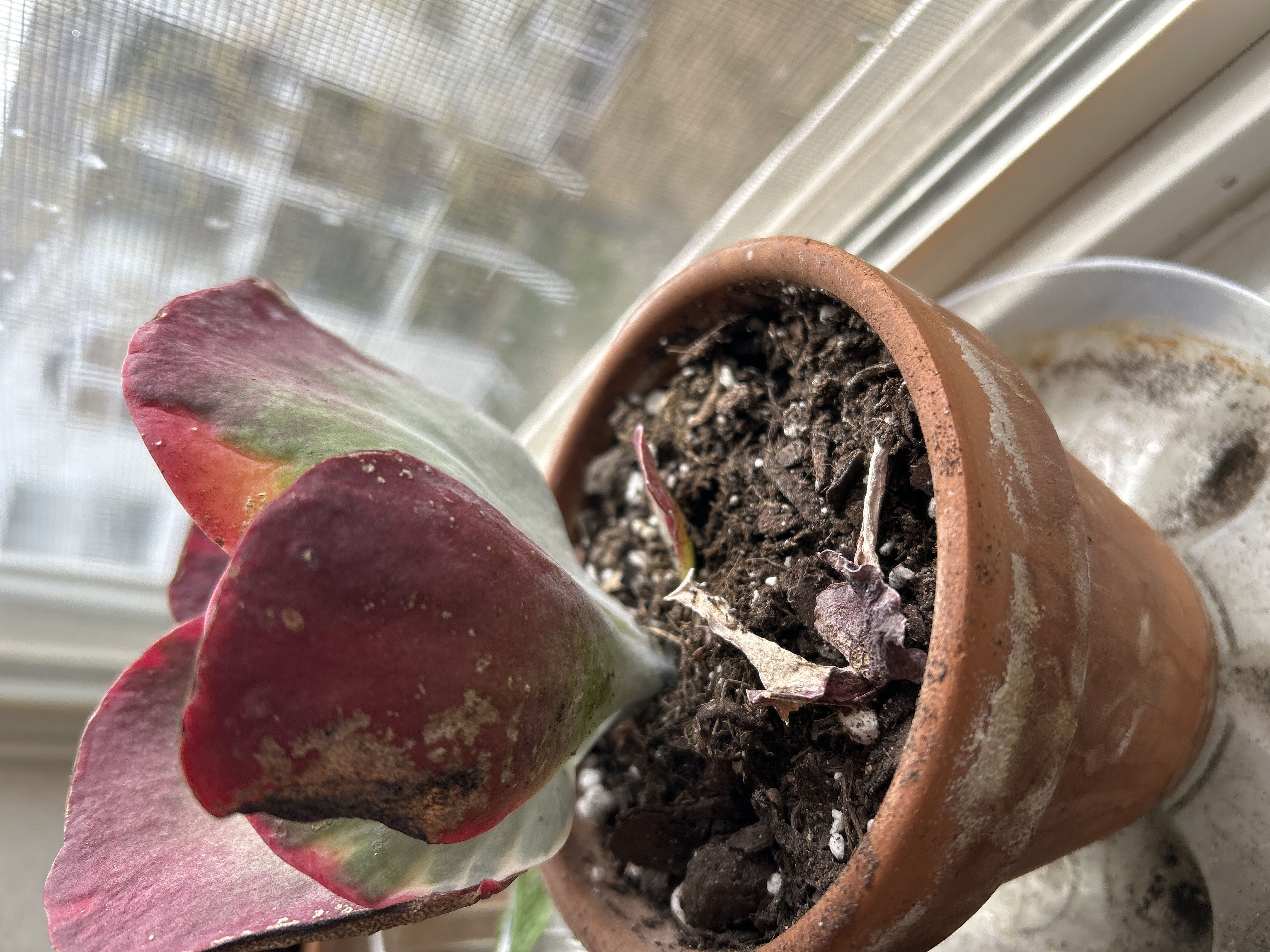 Photo from the post