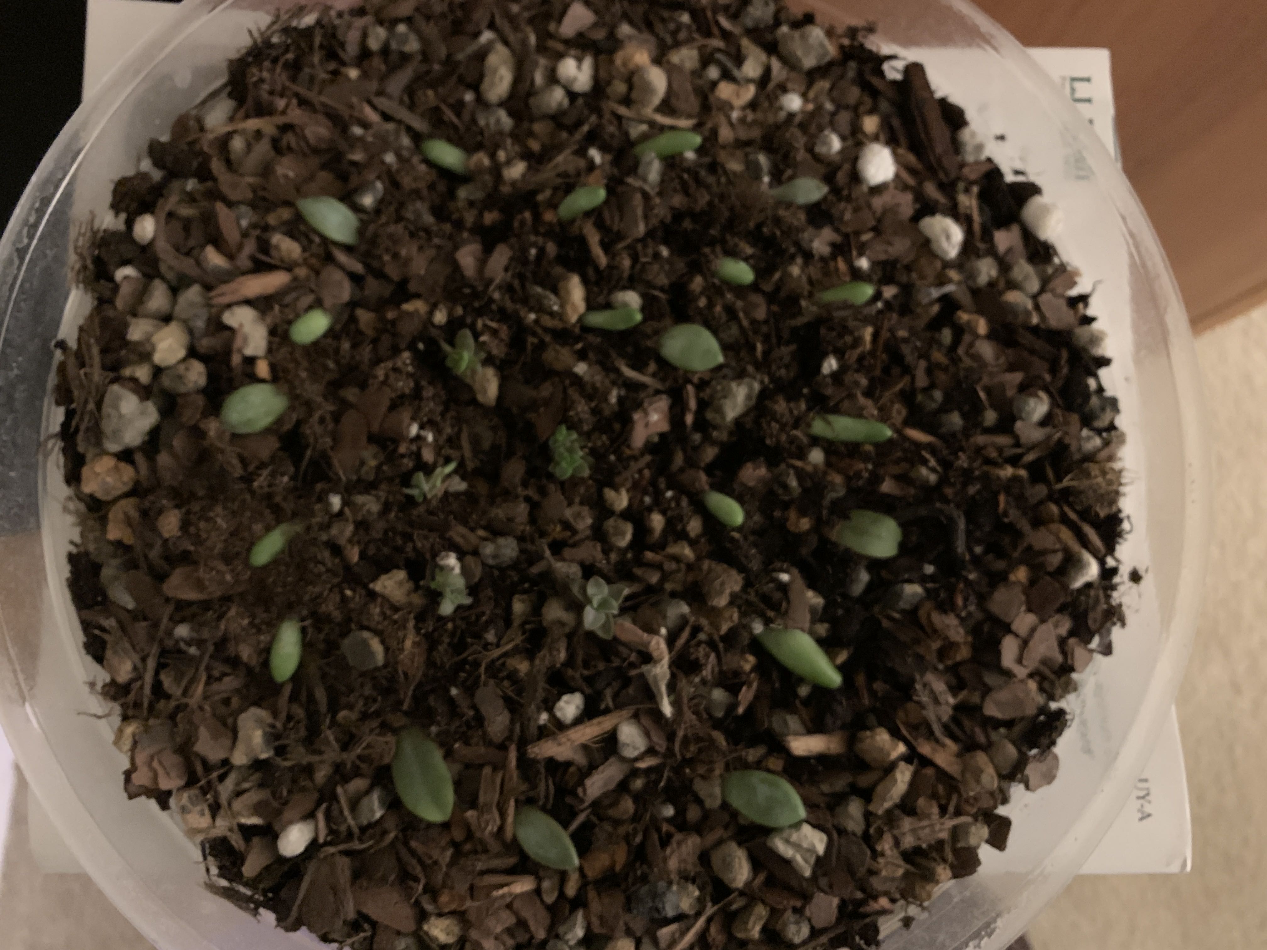 Photo from the post