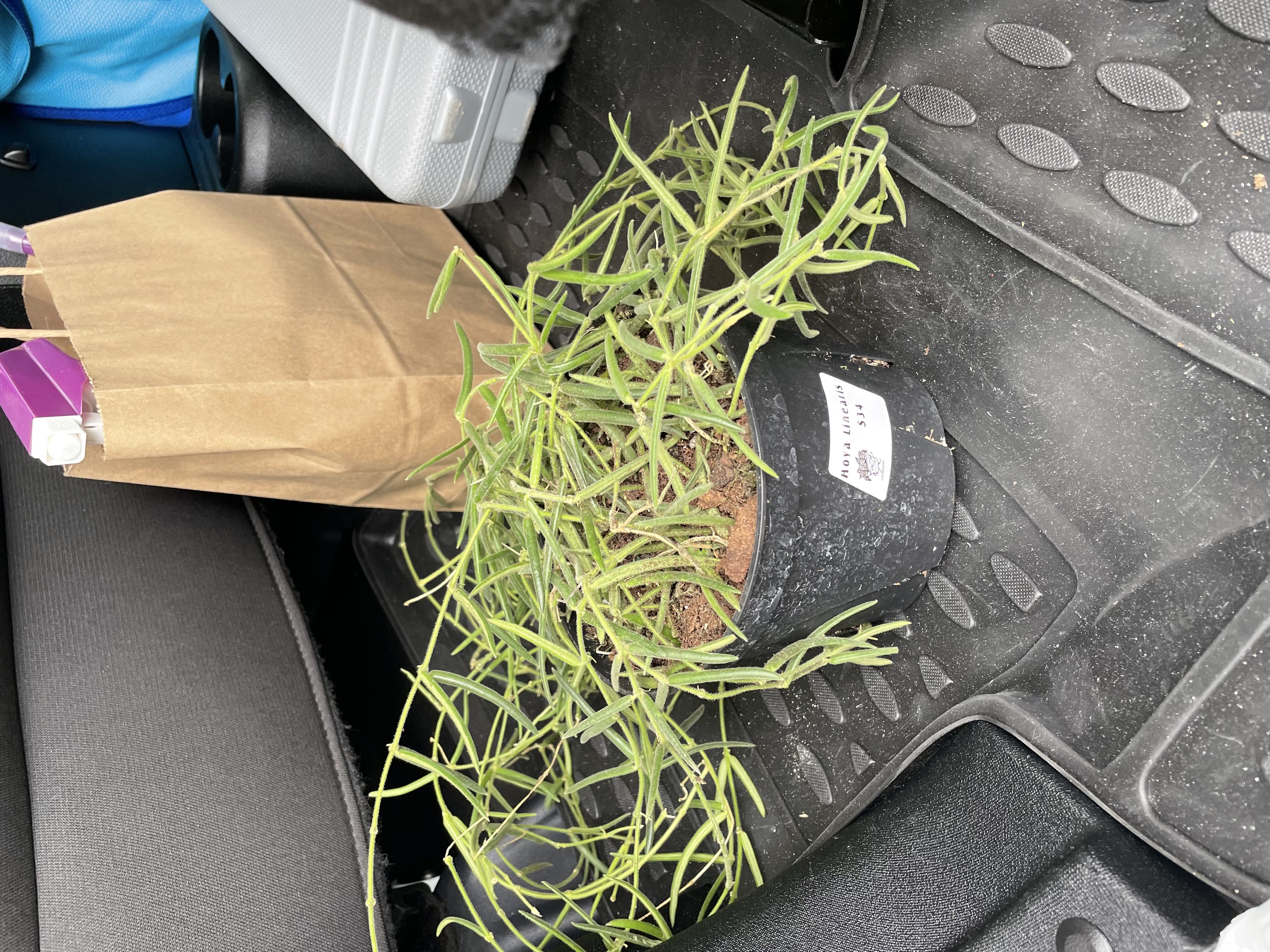 Photo from the post