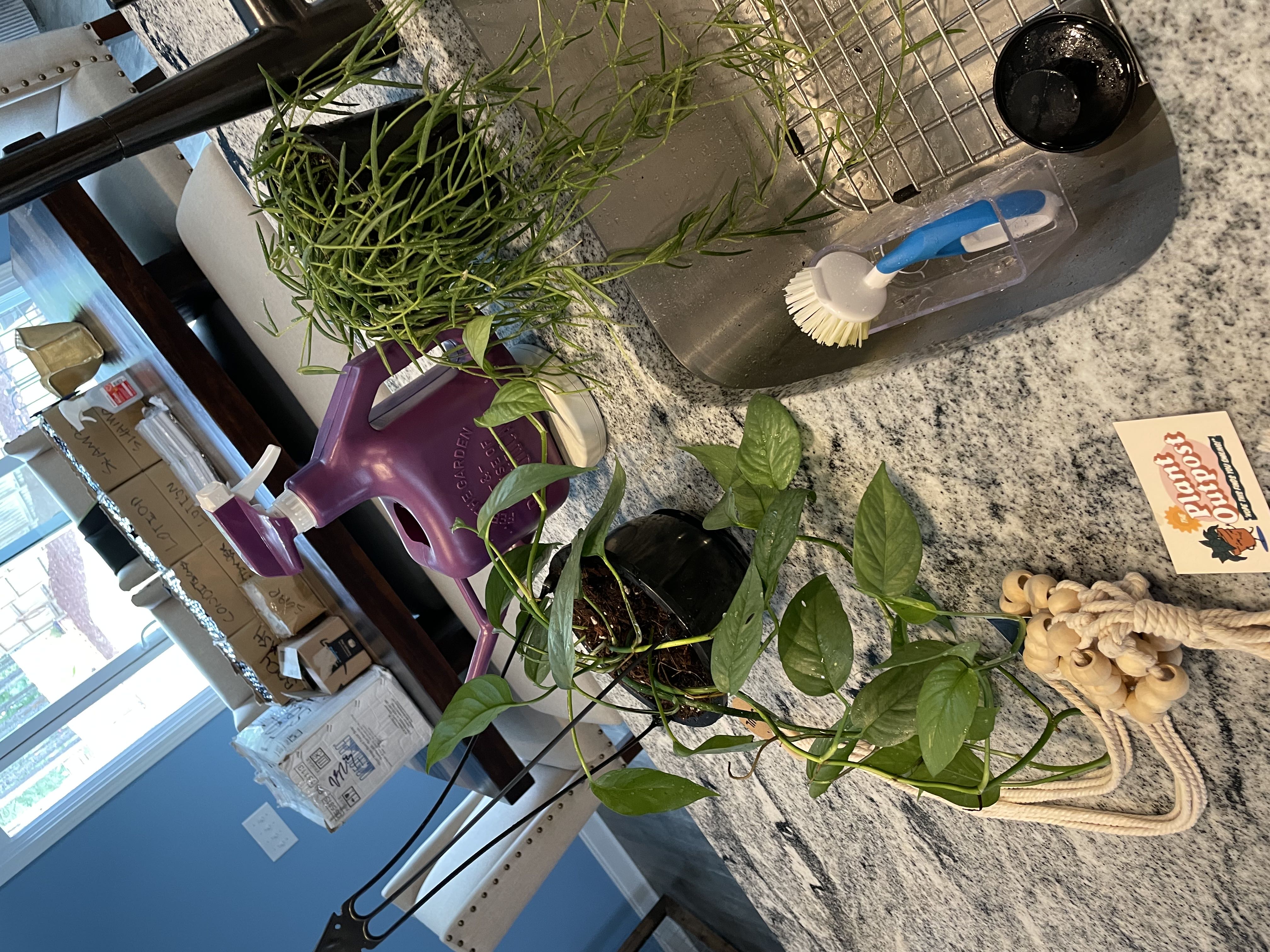 Photo from the post