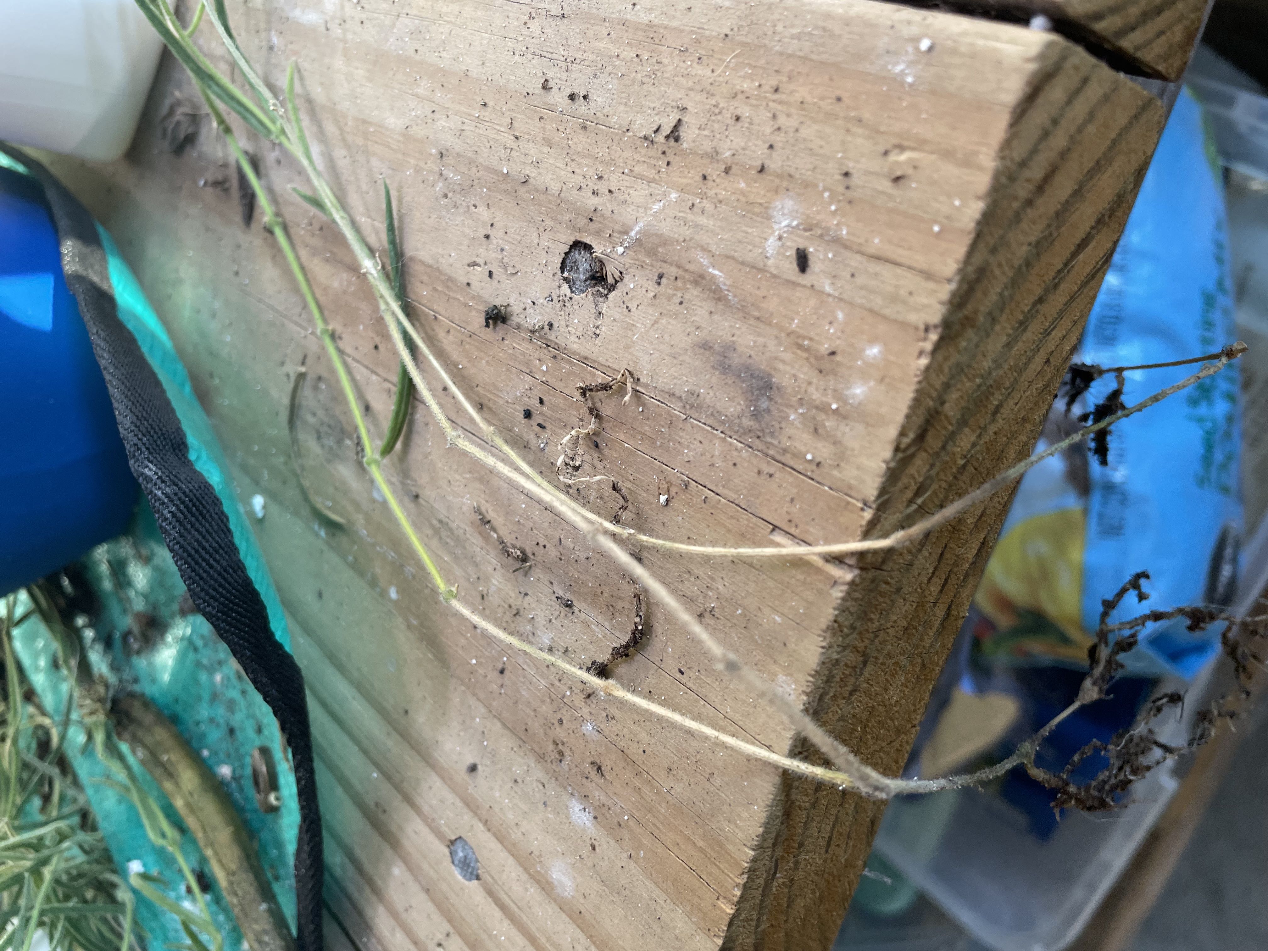 Photo from the post