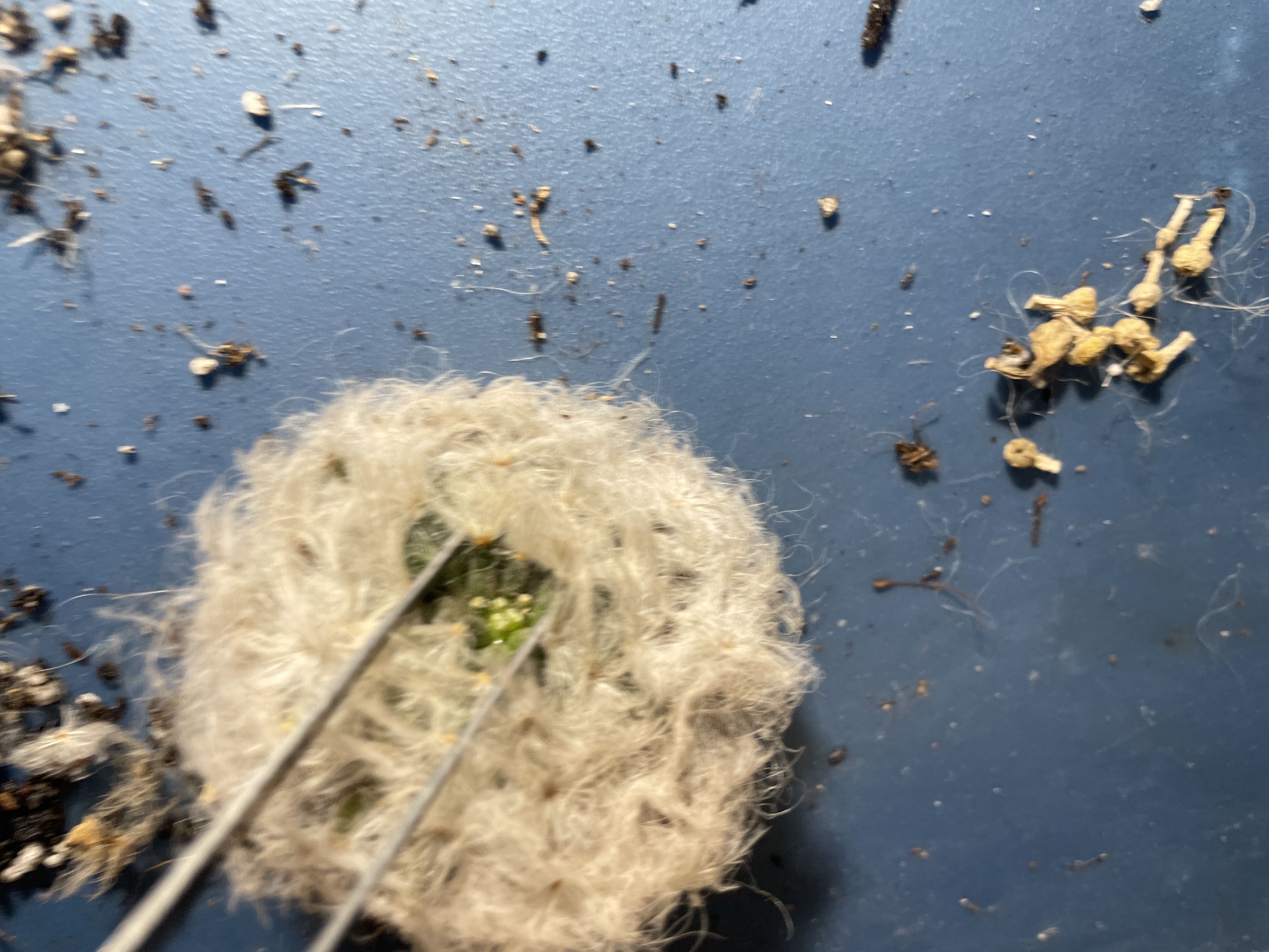 Photo from the post