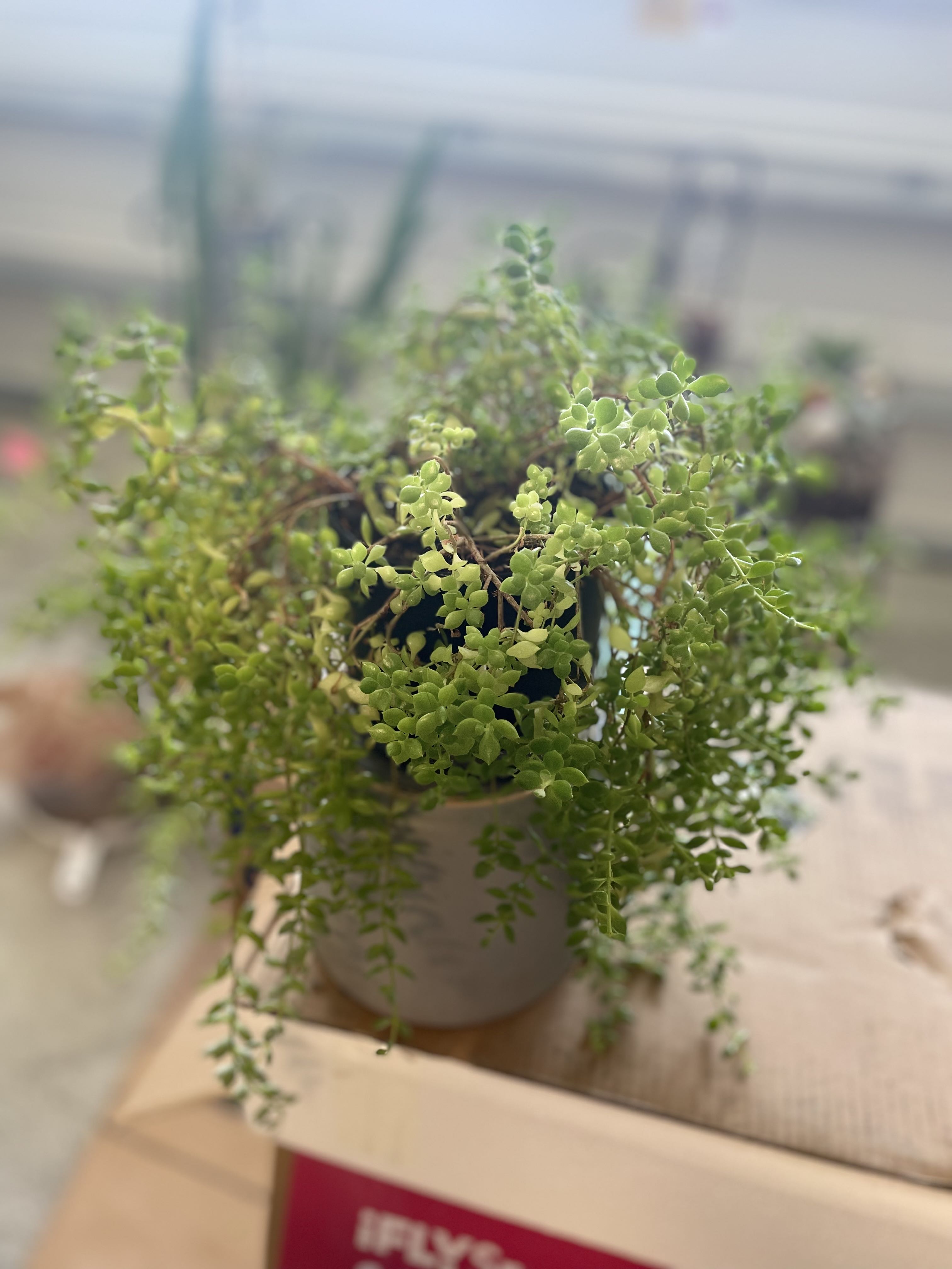 Photo from the post