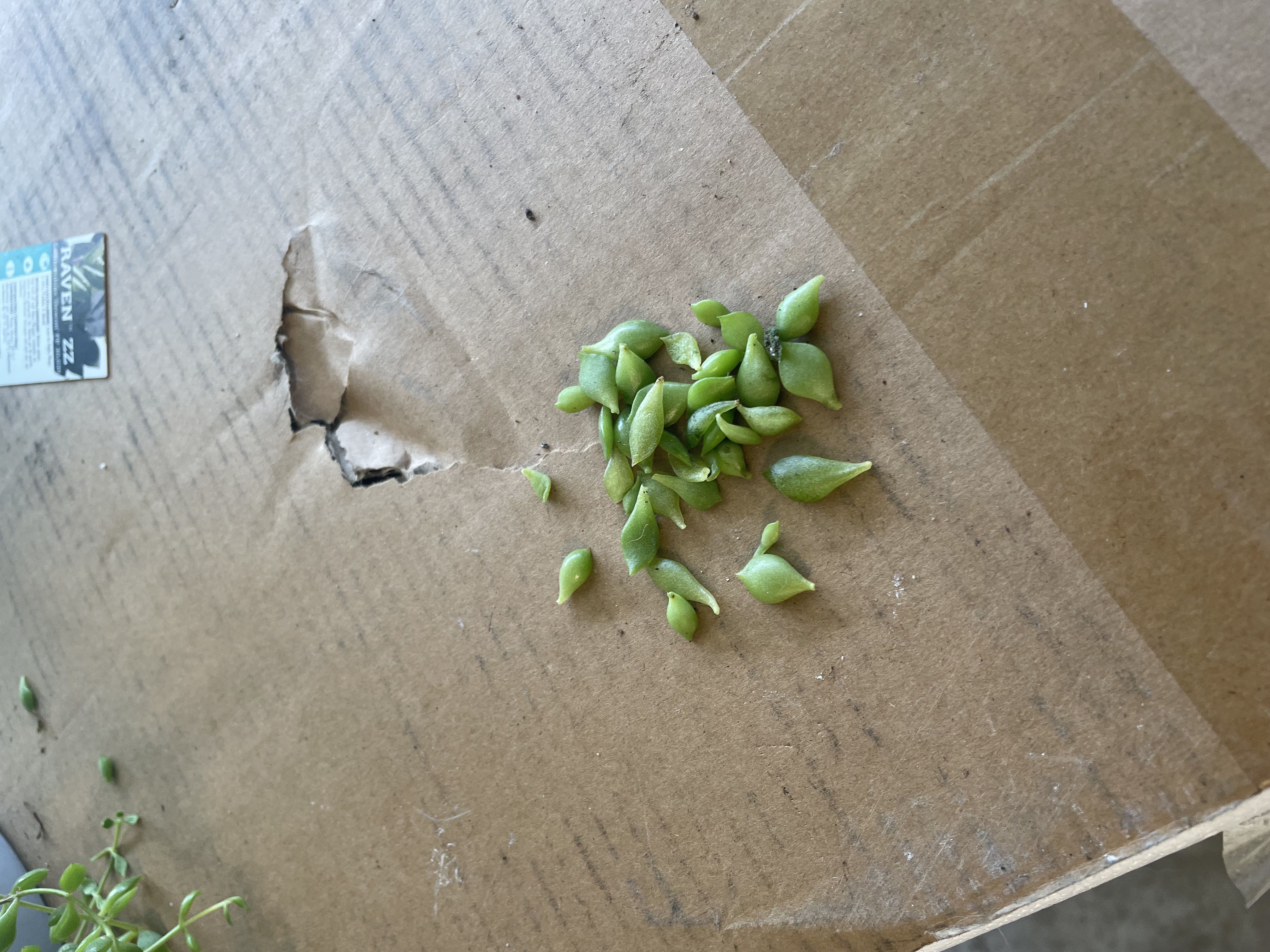 Photo from the post