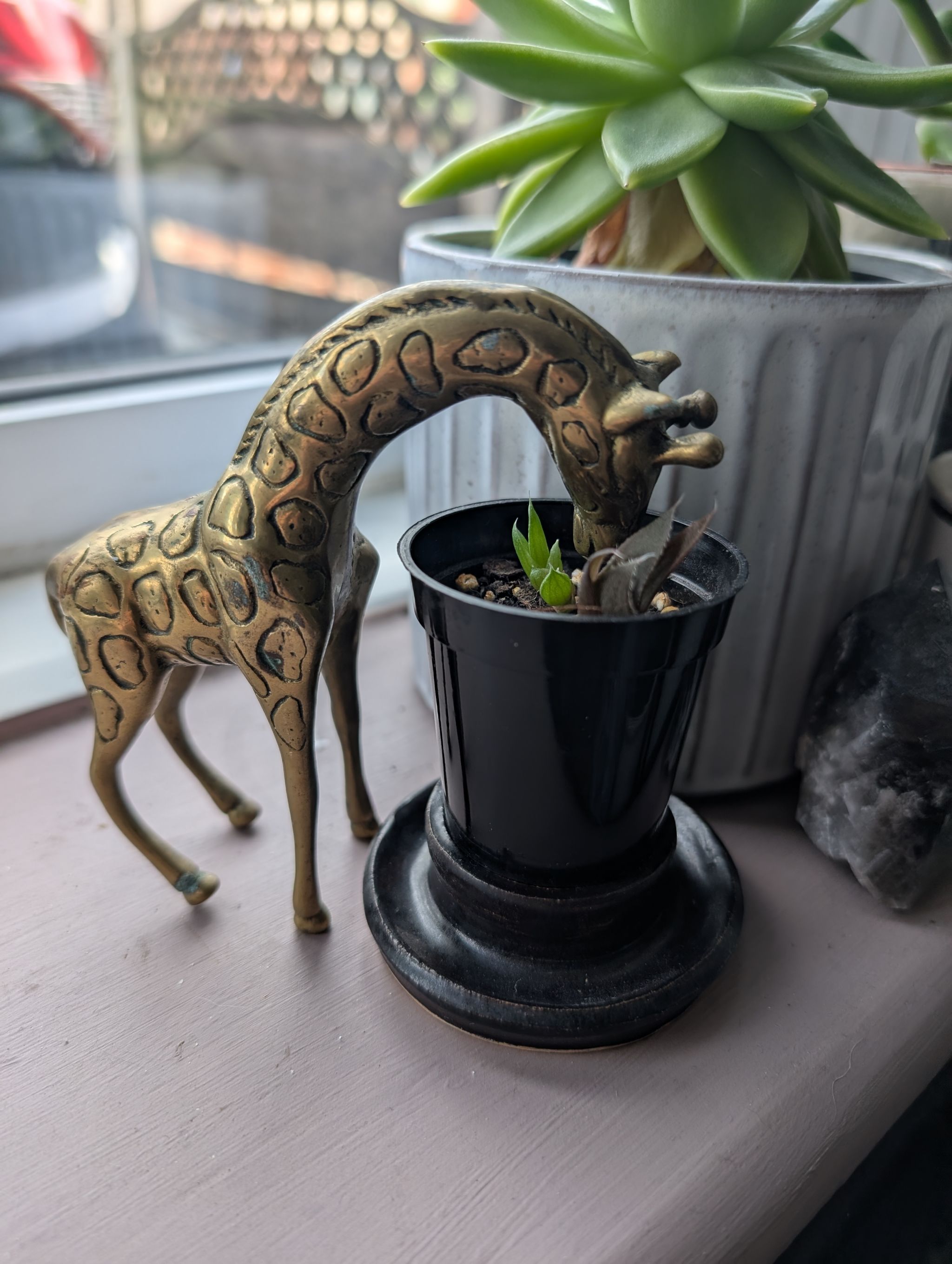 Photo from the post