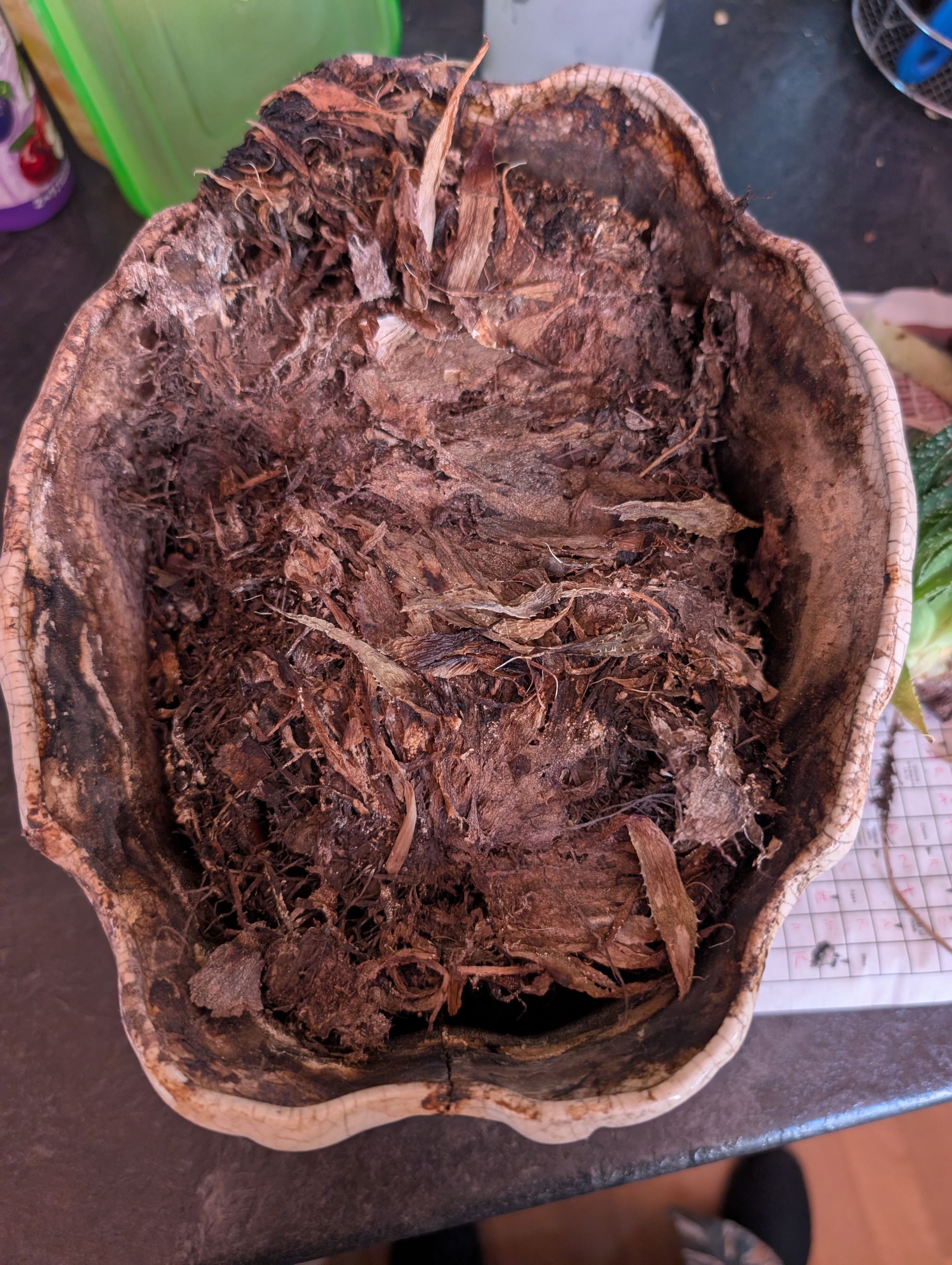Photo from the post