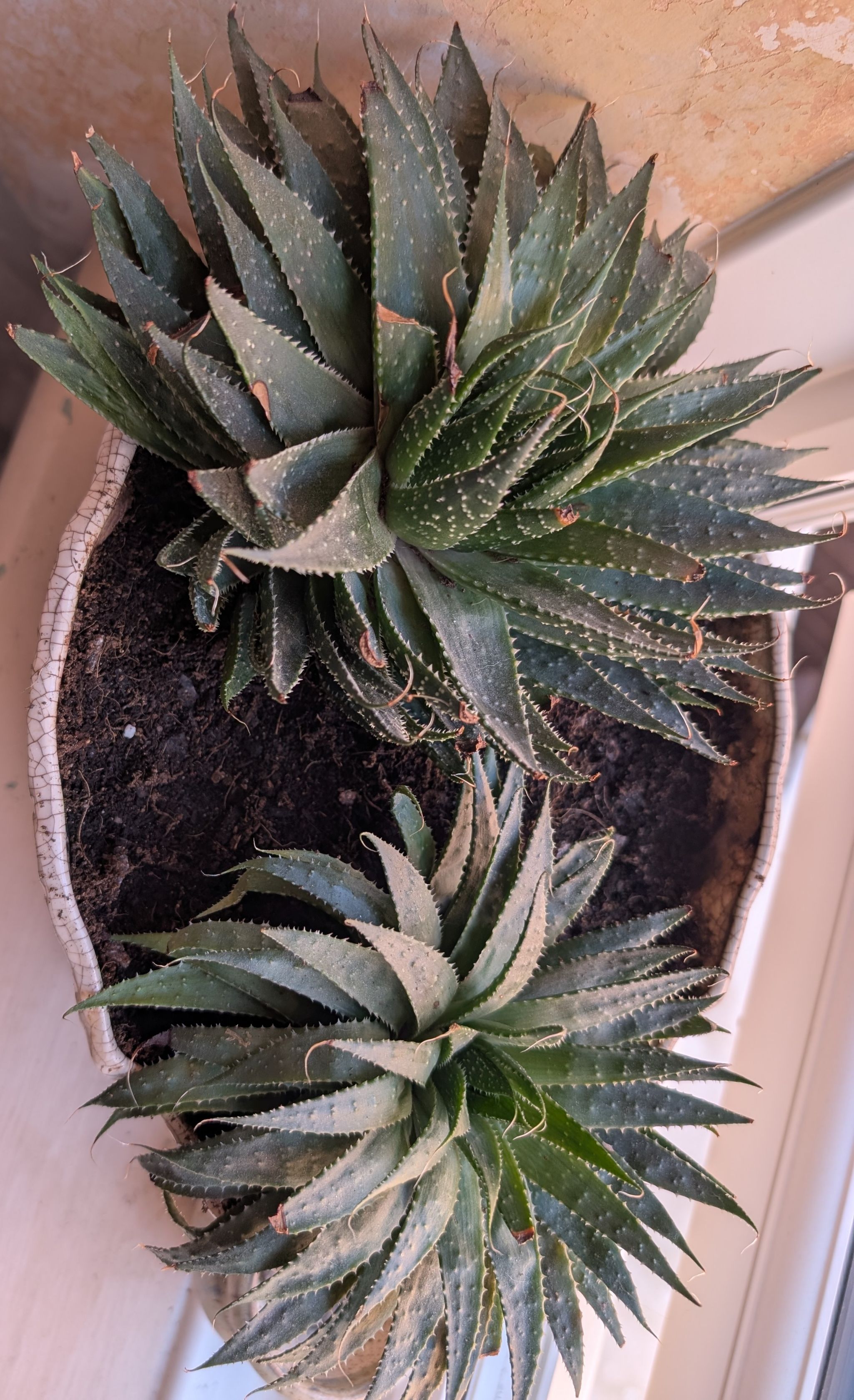 Photo from the post