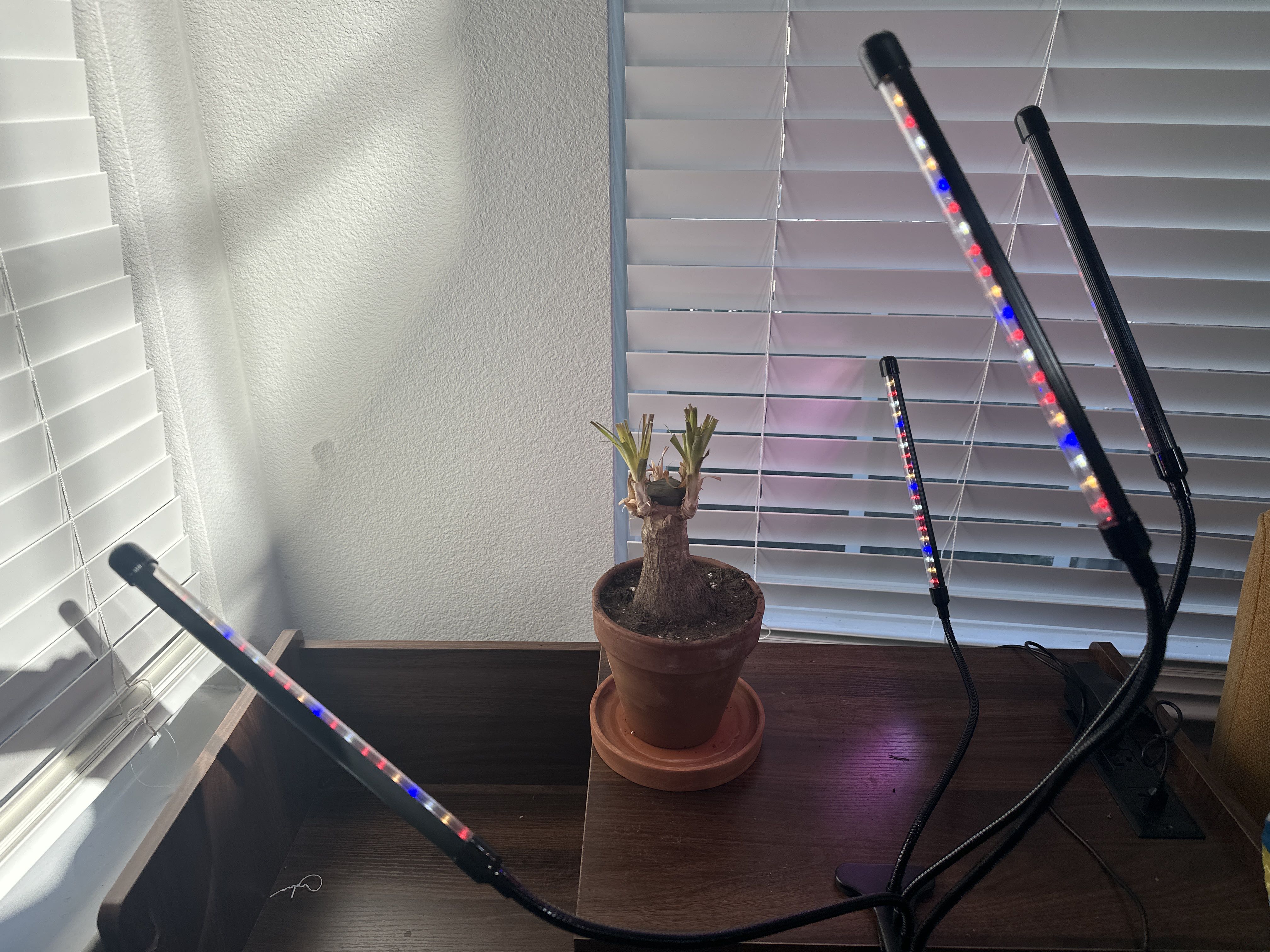 Photo from the post