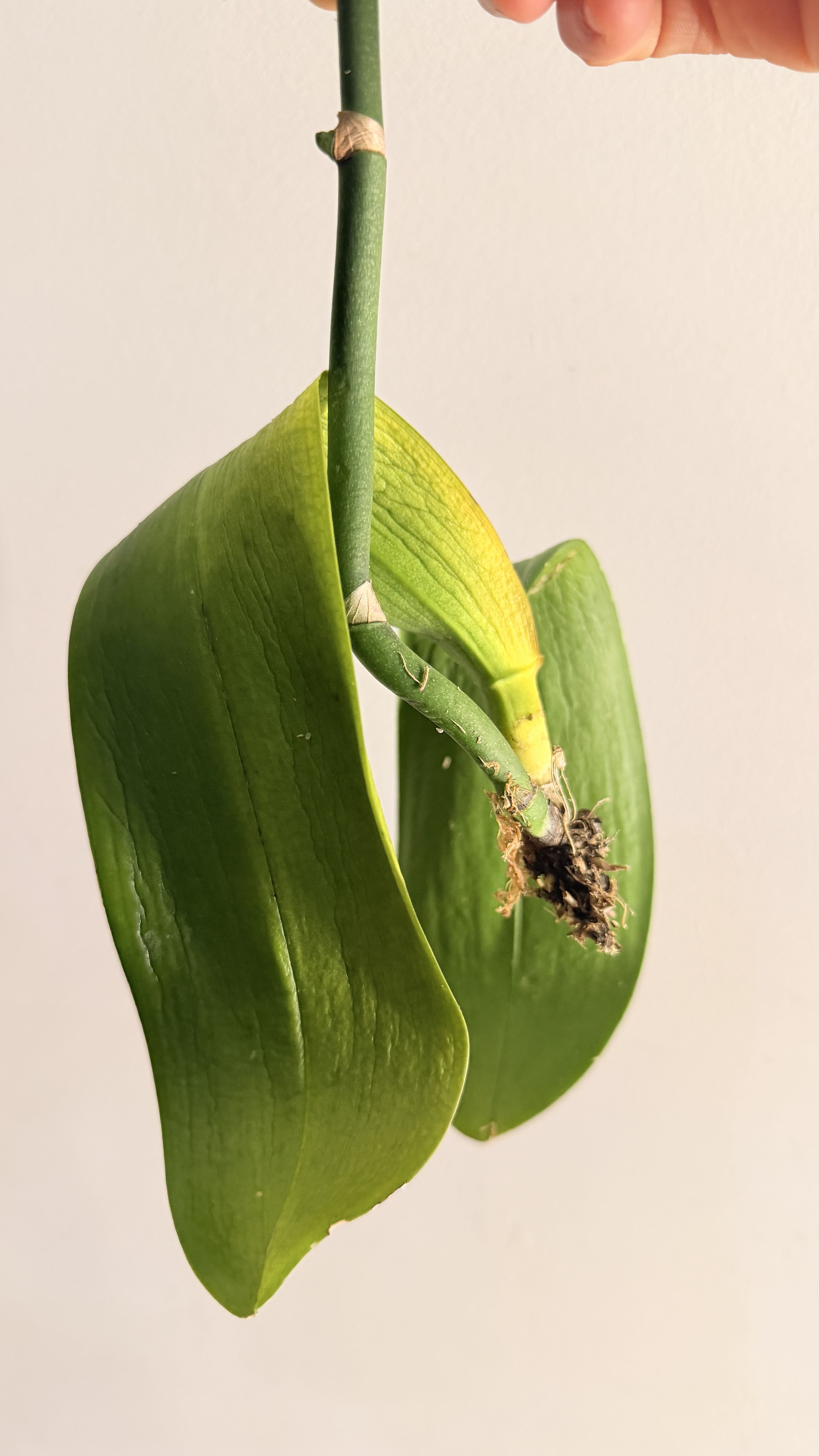 Photo from the post
