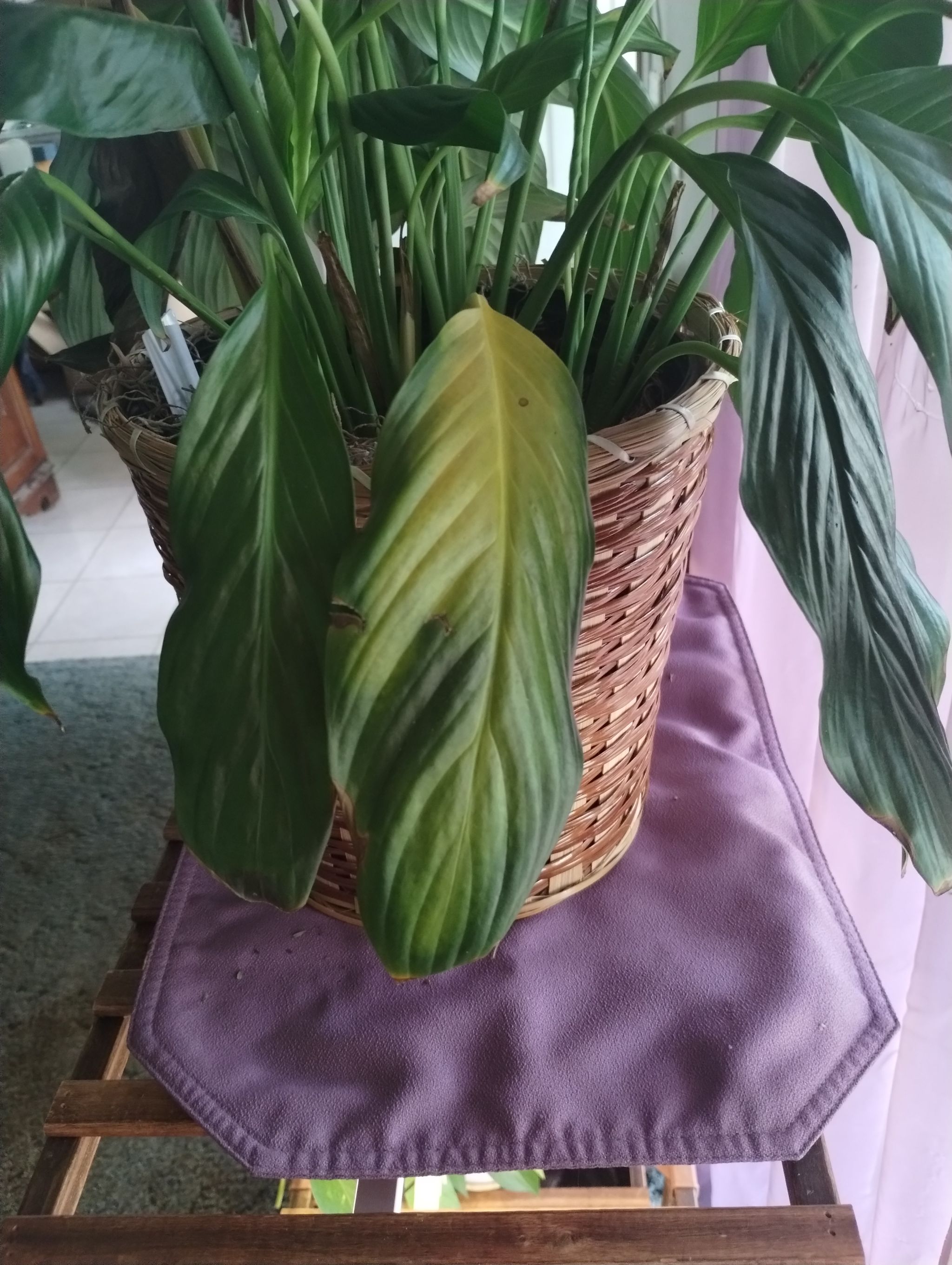 Photo from the post