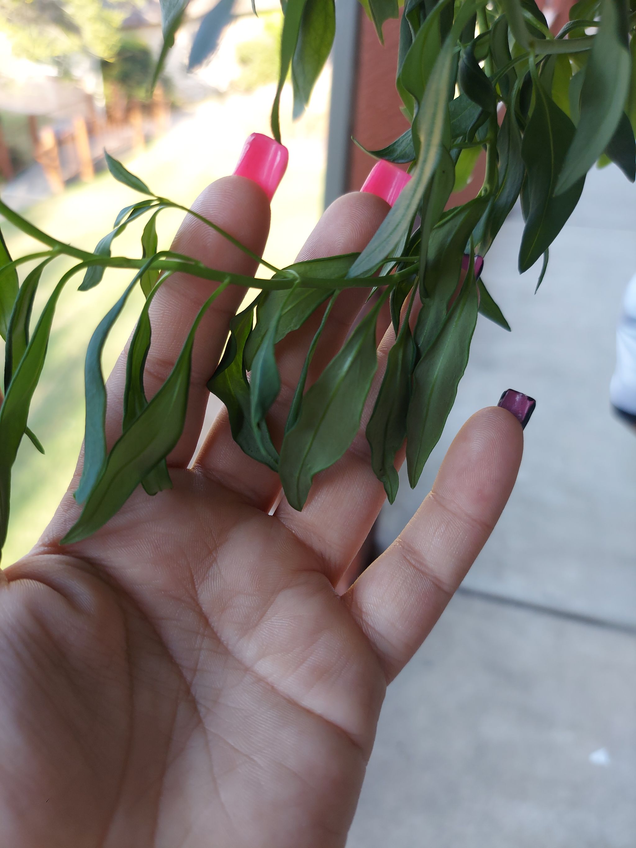 Photo from the post
