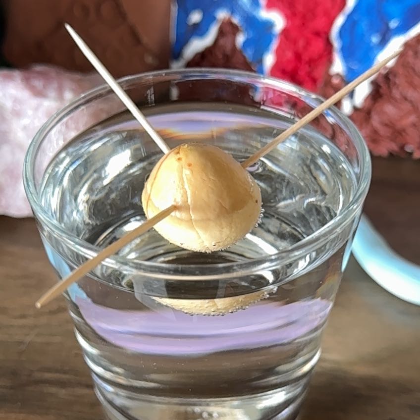 Photo of the plant species Avocado by @EarlyRedspinach named Michelle Branch on Greg, the plant care app