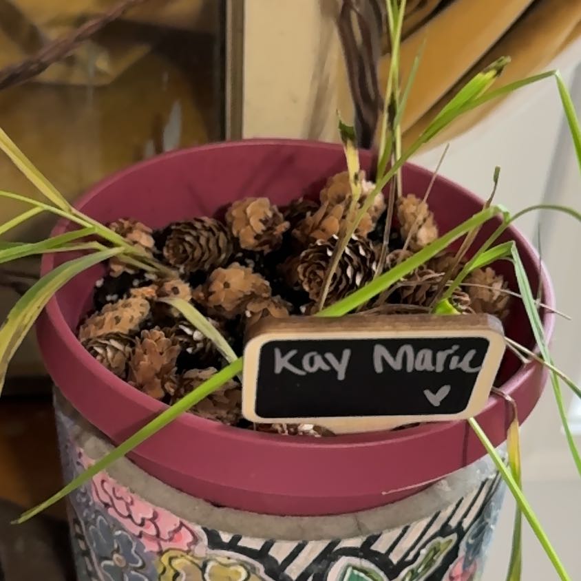 Photo of the plant species Sweetgrass by @GaietyCookspine named Kay Marie on Greg, the plant care app