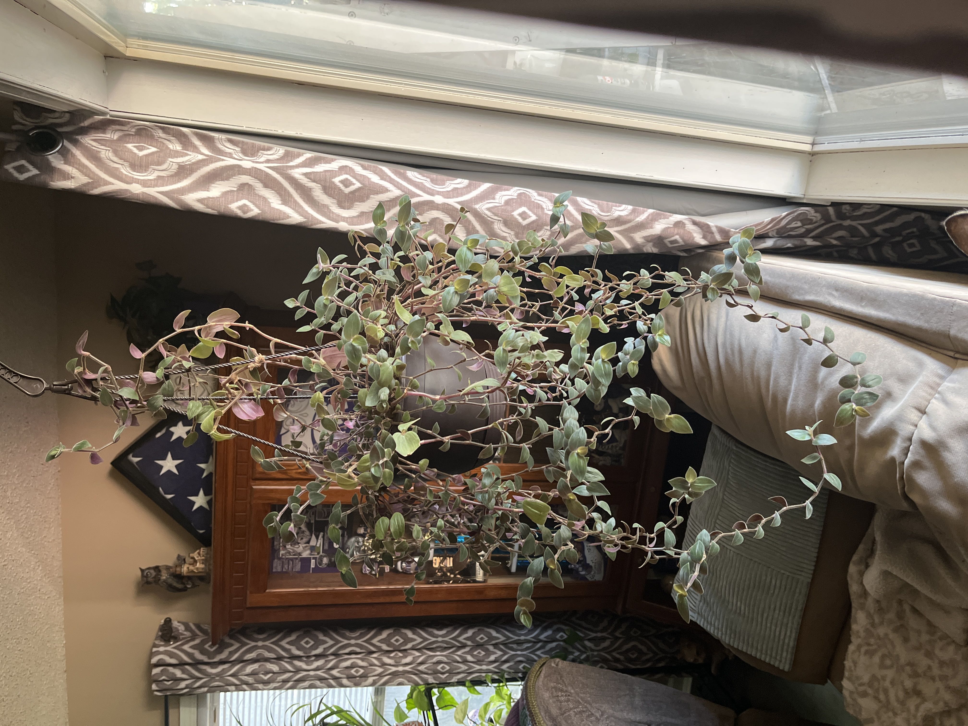 Photo from the post