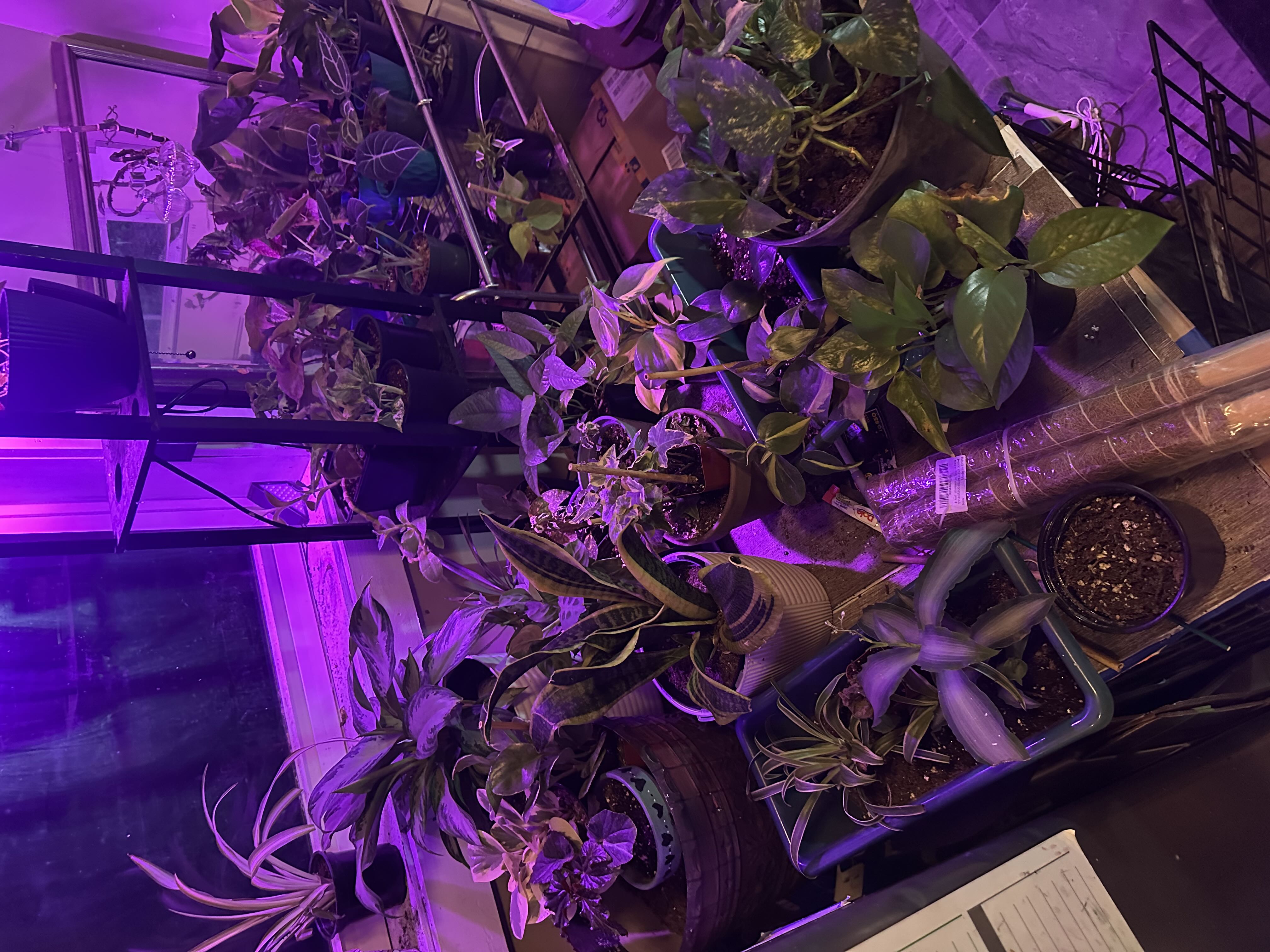 Photo from the post