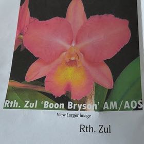Plant care for Boon Bryson on Greg, the plant care app