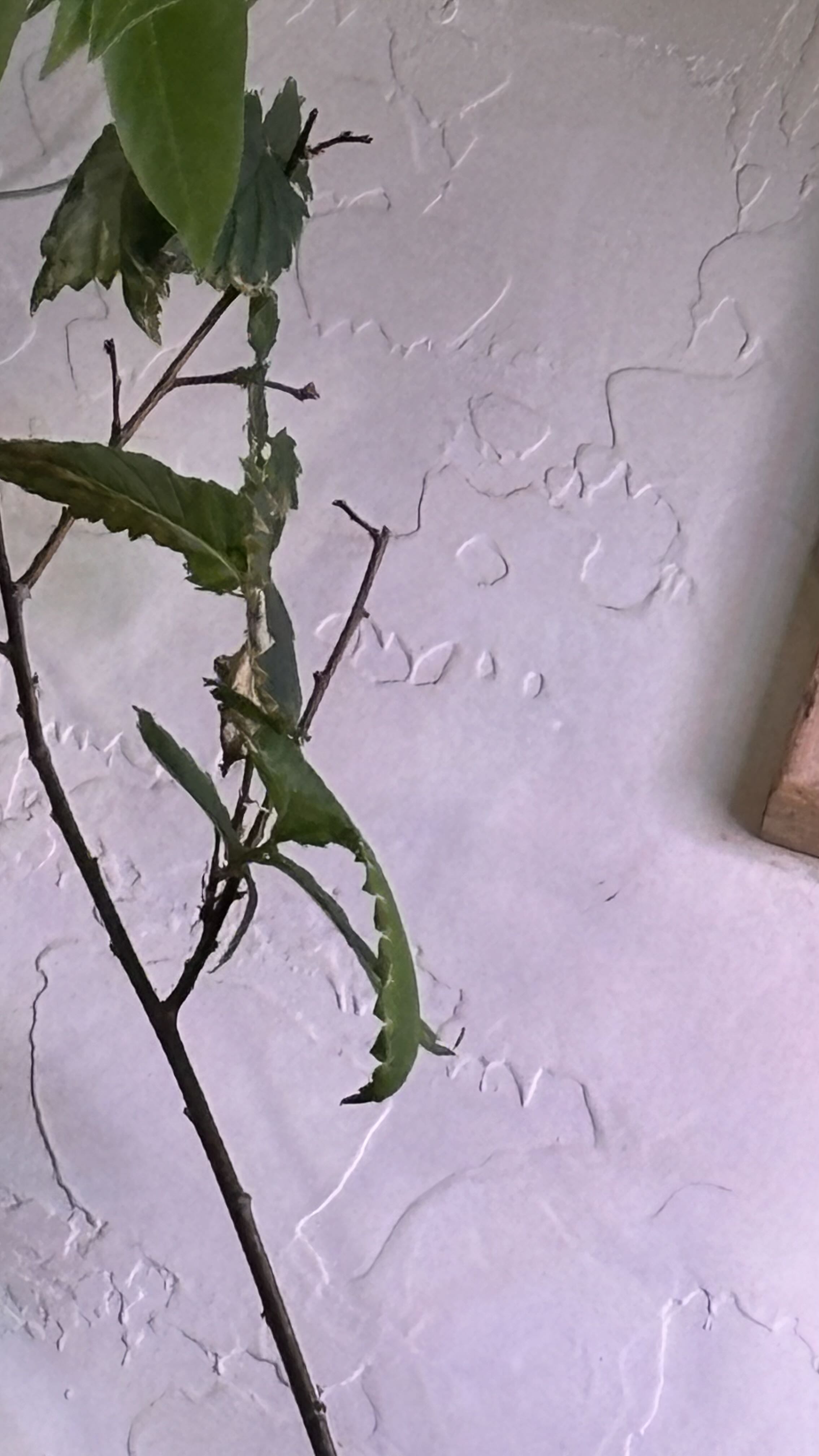 Photo from the post