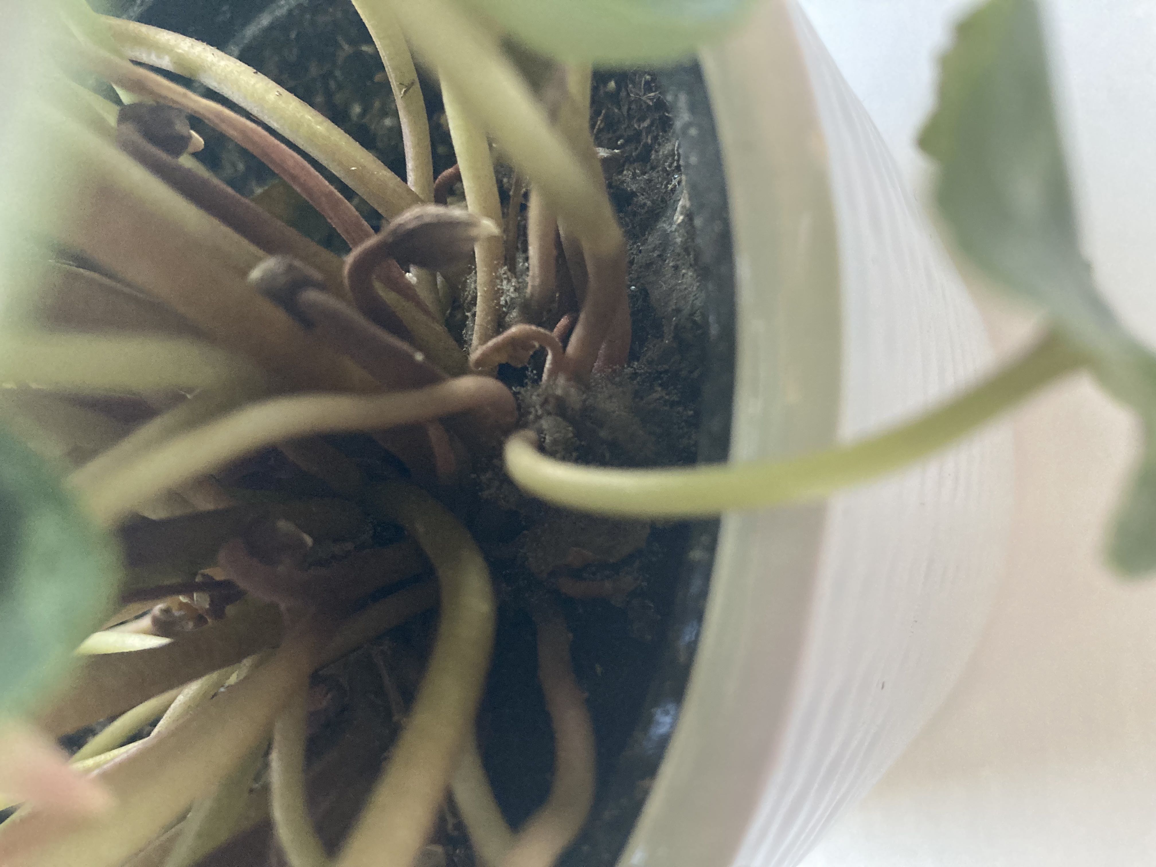 Photo from the post