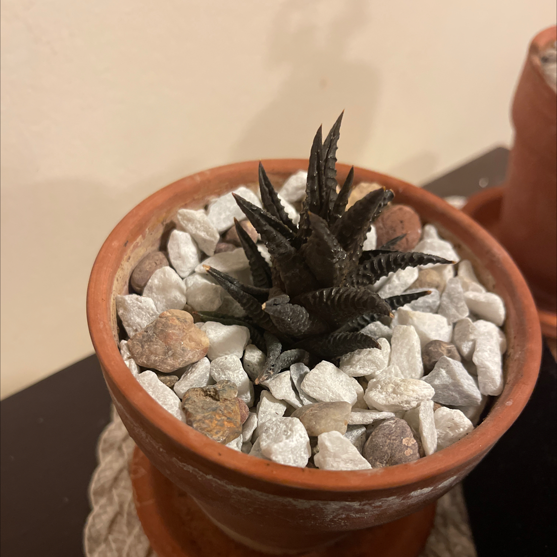 Spike