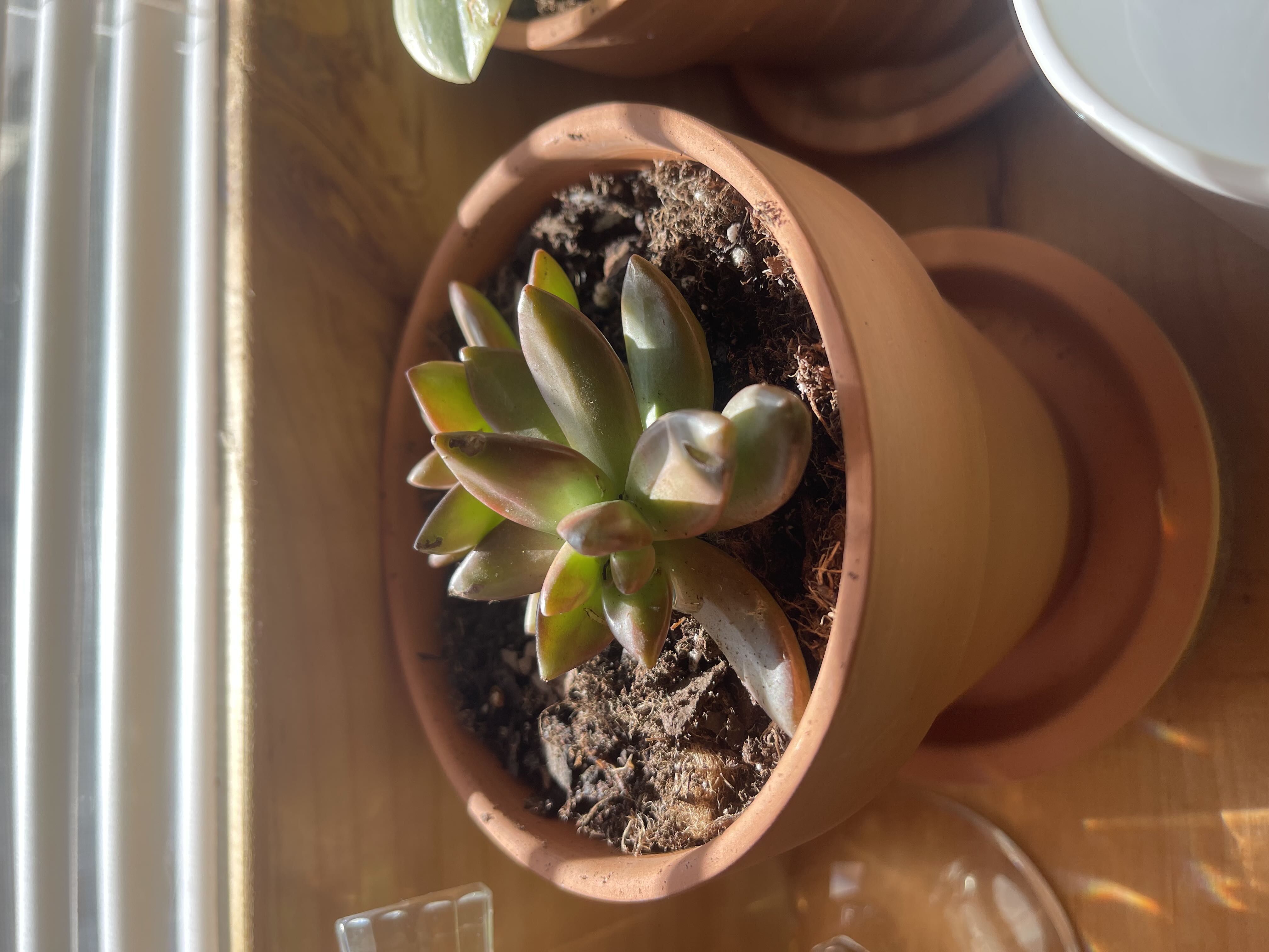 Photo from the post