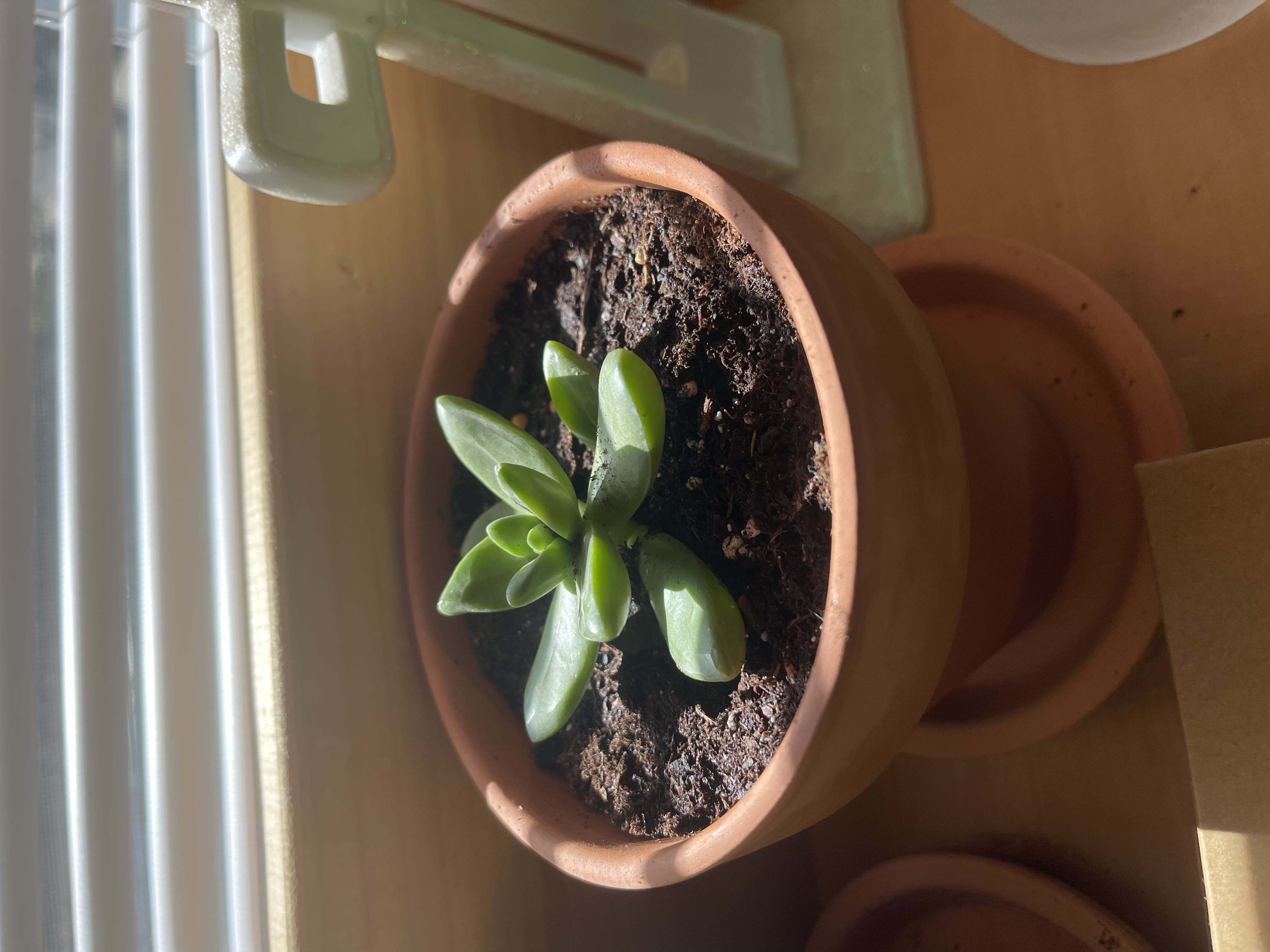 Photo from the post